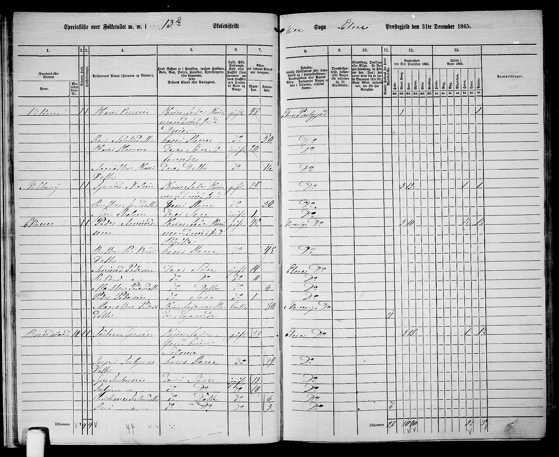 RA, 1865 census for Etne, 1865, p. 20