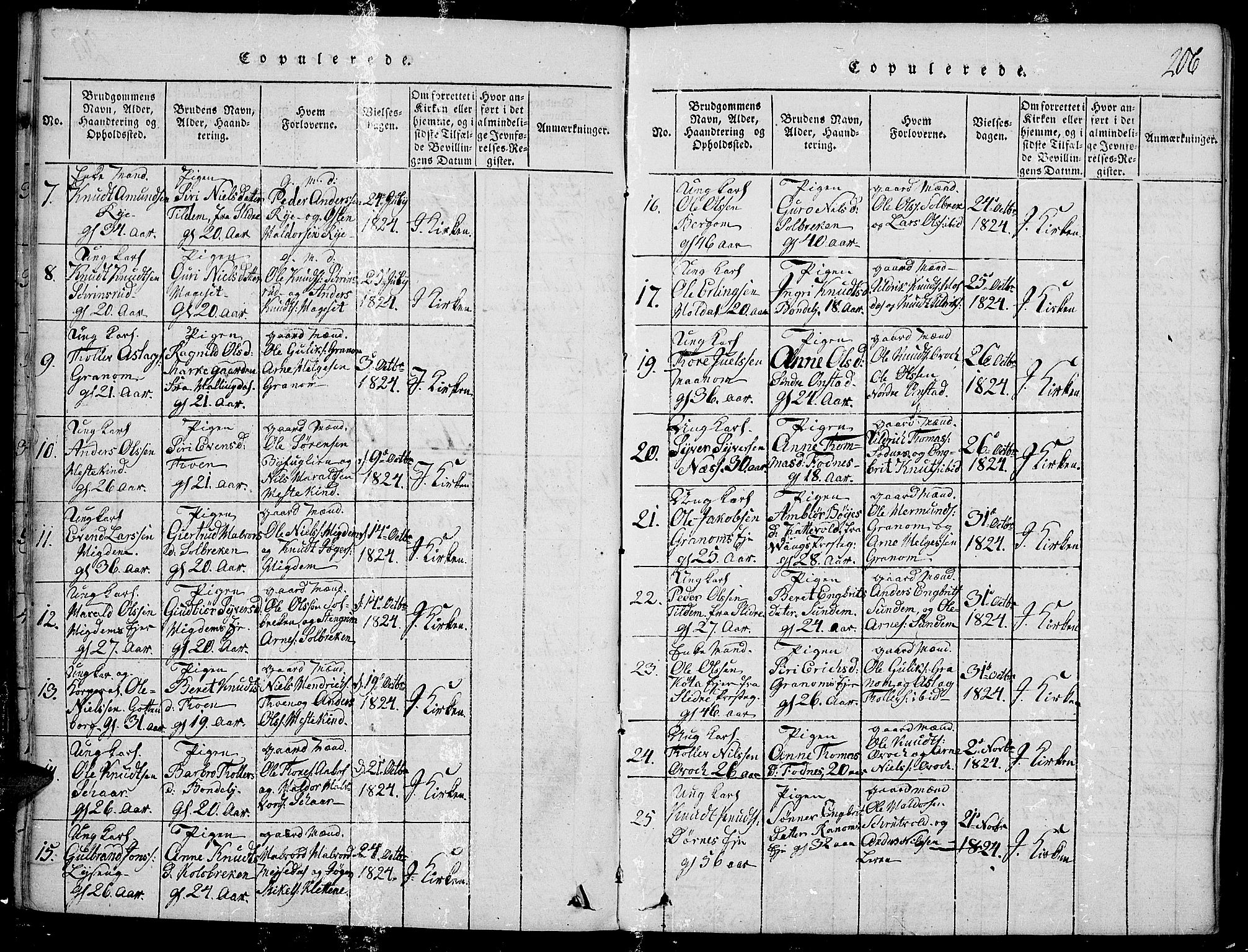 Nord-Aurdal prestekontor, SAH/PREST-132/H/Ha/Haa/L0002: Parish register (official) no. 2, 1816-1828, p. 206