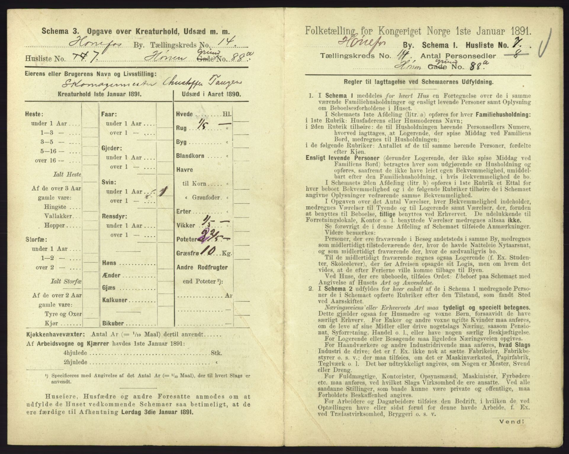 RA, 1891 census for 0601 Hønefoss, 1891, p. 315