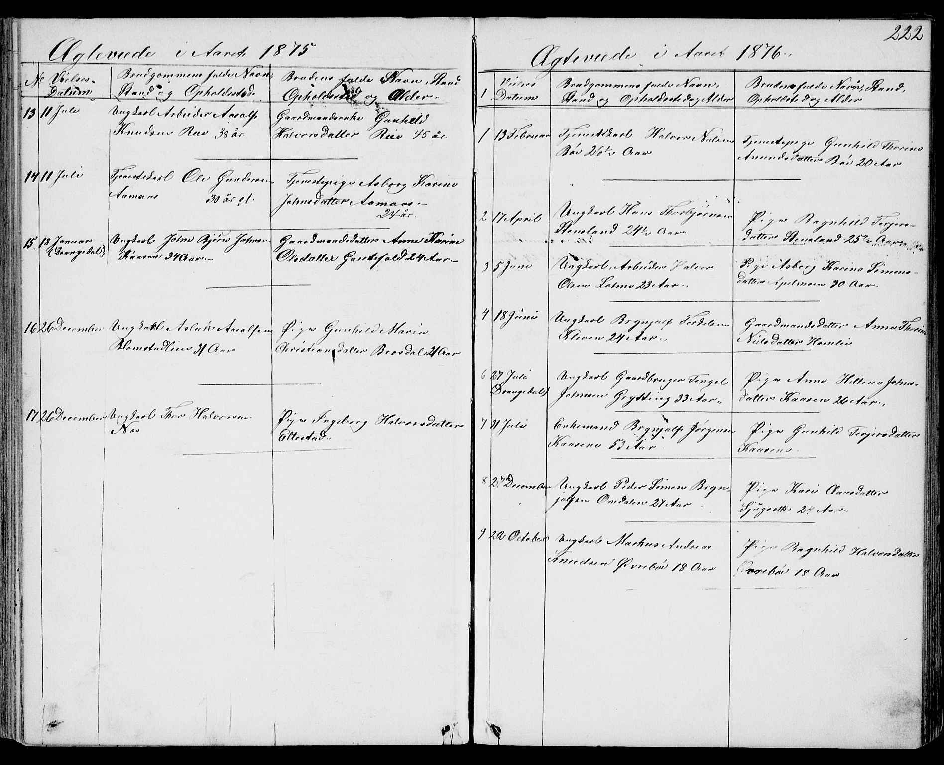 Drangedal kirkebøker, SAKO/A-258/G/Gb/L0001: Parish register (copy) no. II 1, 1856-1894, p. 222