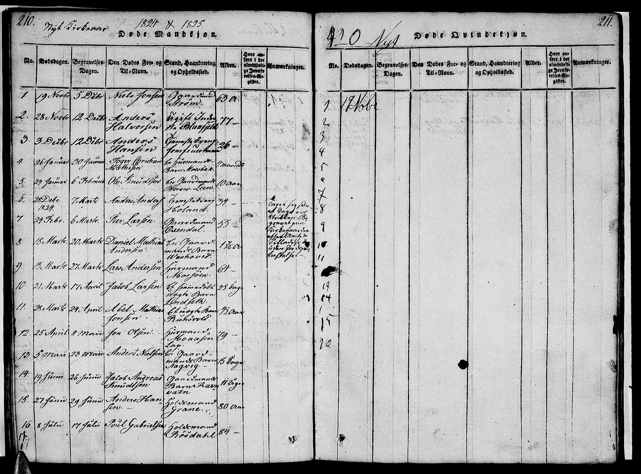 Ministerialprotokoller, klokkerbøker og fødselsregistre - Nordland, AV/SAT-A-1459/820/L0299: Parish register (copy) no. 820C01, 1820-1825, p. 210-211