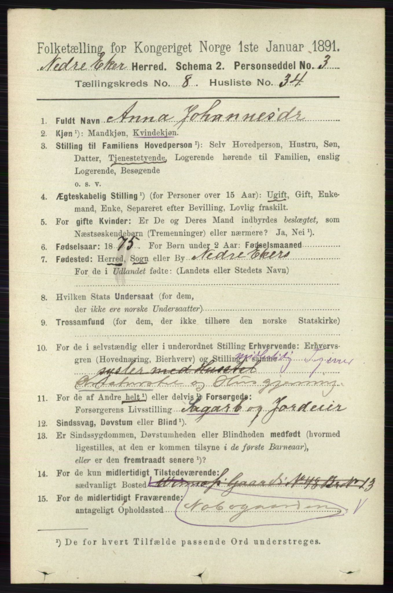 RA, 1891 census for 0625 Nedre Eiker, 1891, p. 4165