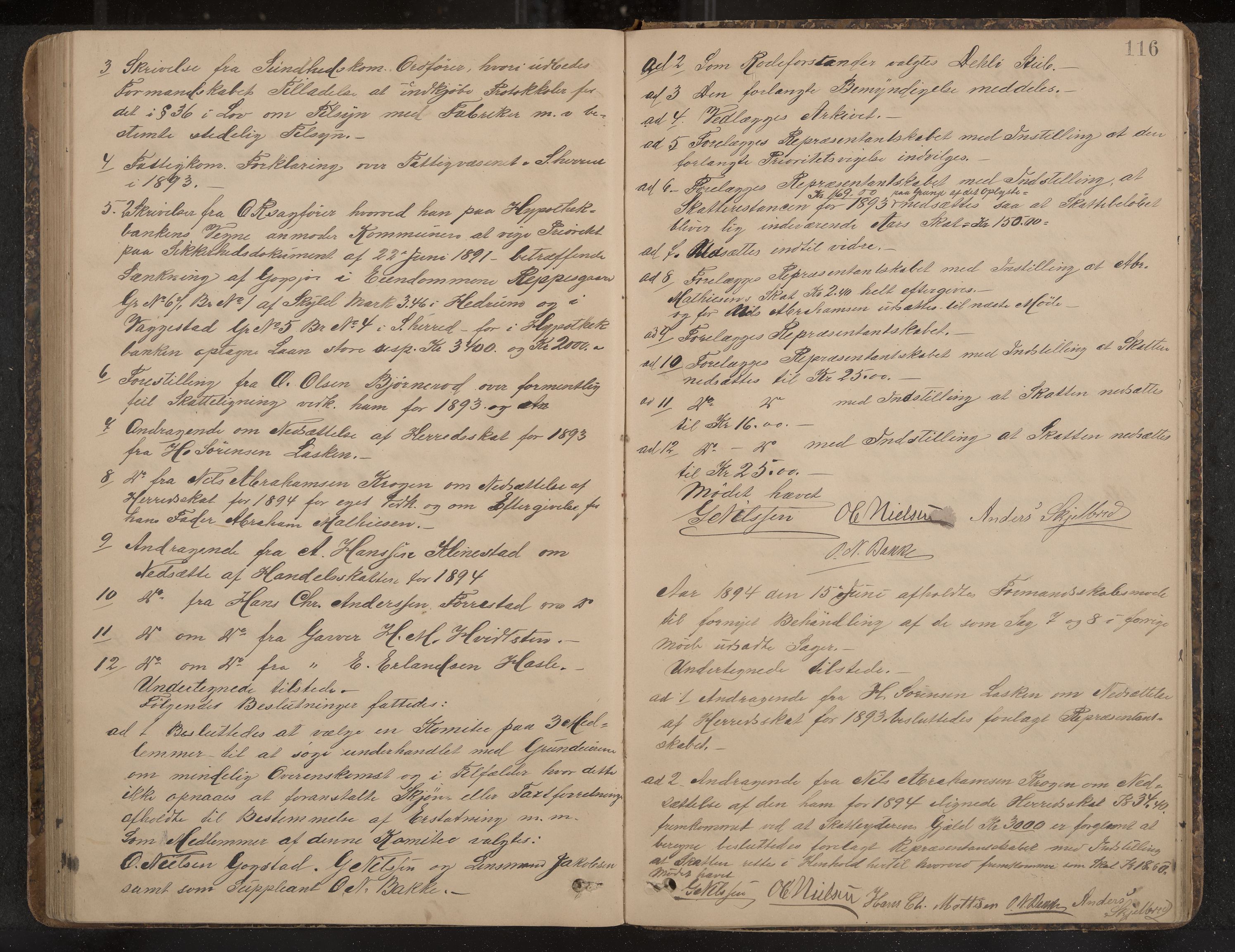 Sandar formannskap og sentraladministrasjon, IKAK/0724021/A/Aa/L0001: Møtebok, 1886-1895, p. 116