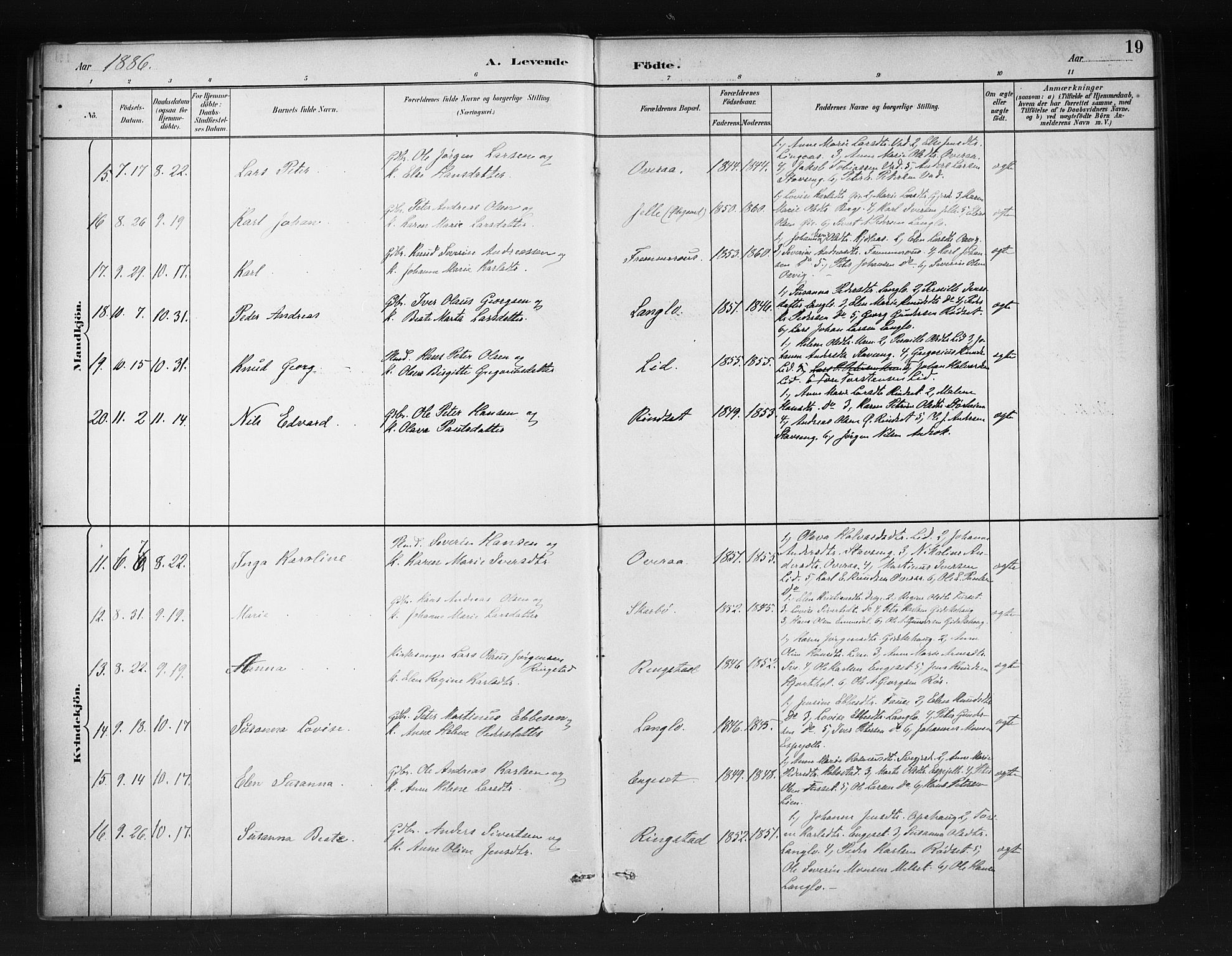Ministerialprotokoller, klokkerbøker og fødselsregistre - Møre og Romsdal, SAT/A-1454/520/L0283: Parish register (official) no. 520A12, 1882-1898, p. 19
