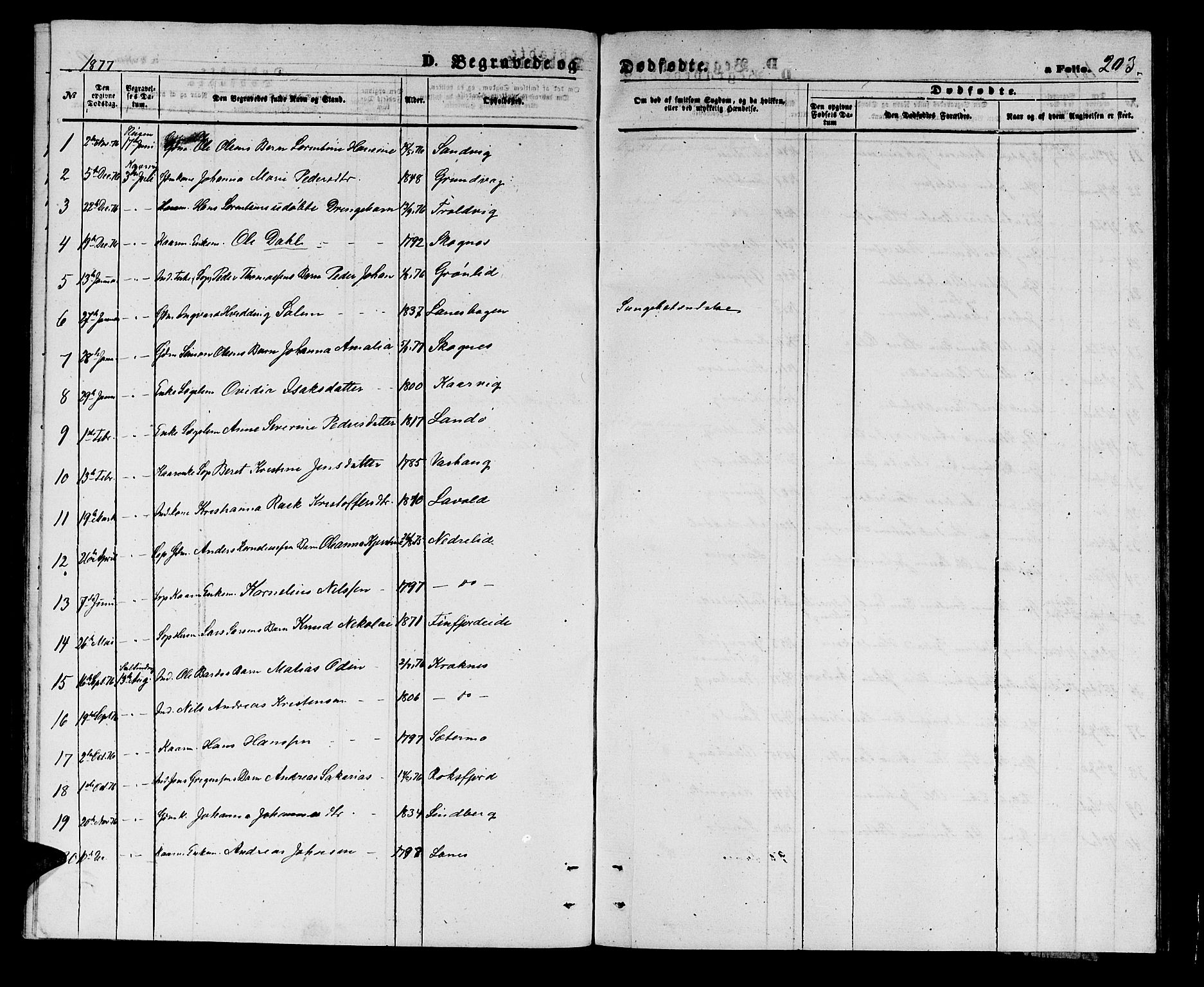 Lenvik sokneprestembete, SATØ/S-1310/H/Ha/Hab/L0005klokker: Parish register (copy) no. 5, 1870-1880, p. 203