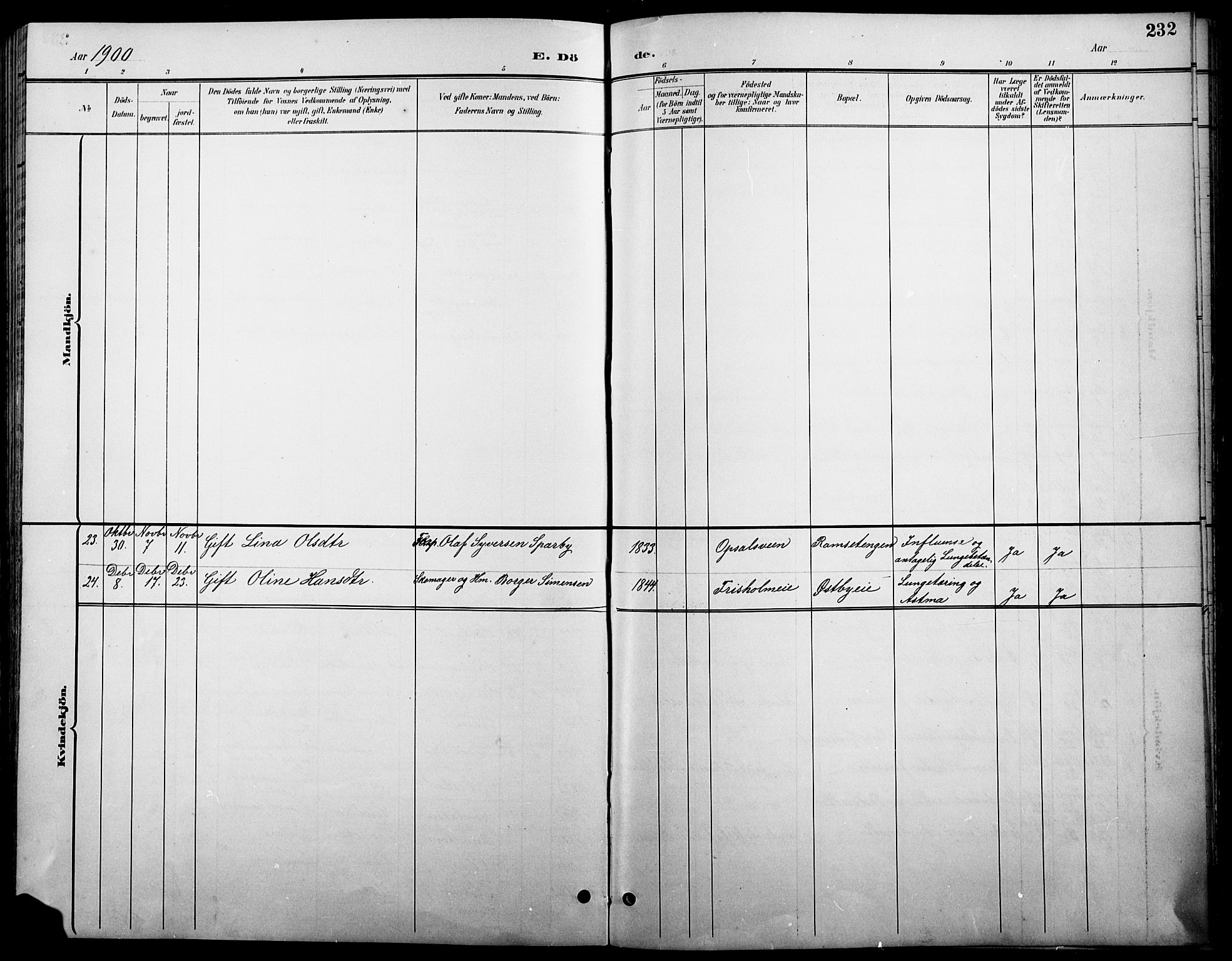 Stange prestekontor, SAH/PREST-002/L/L0011: Parish register (copy) no. 11, 1895-1917, p. 232