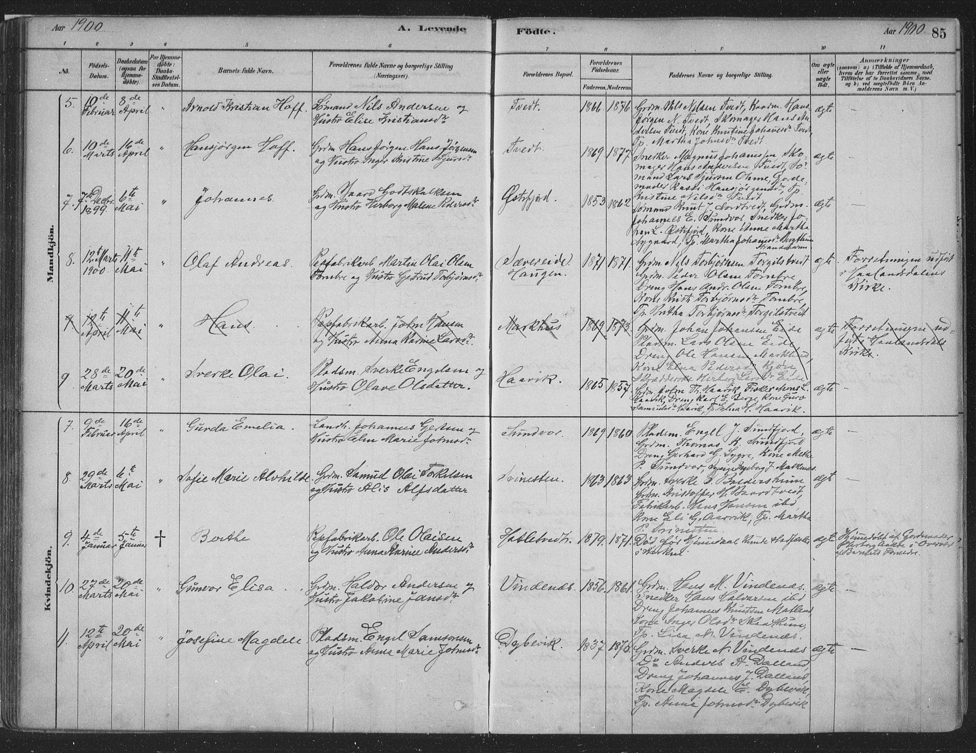 Fusa sokneprestembete, AV/SAB-A-75401/H/Haa: Parish register (official) no. D 1, 1880-1938, p. 85