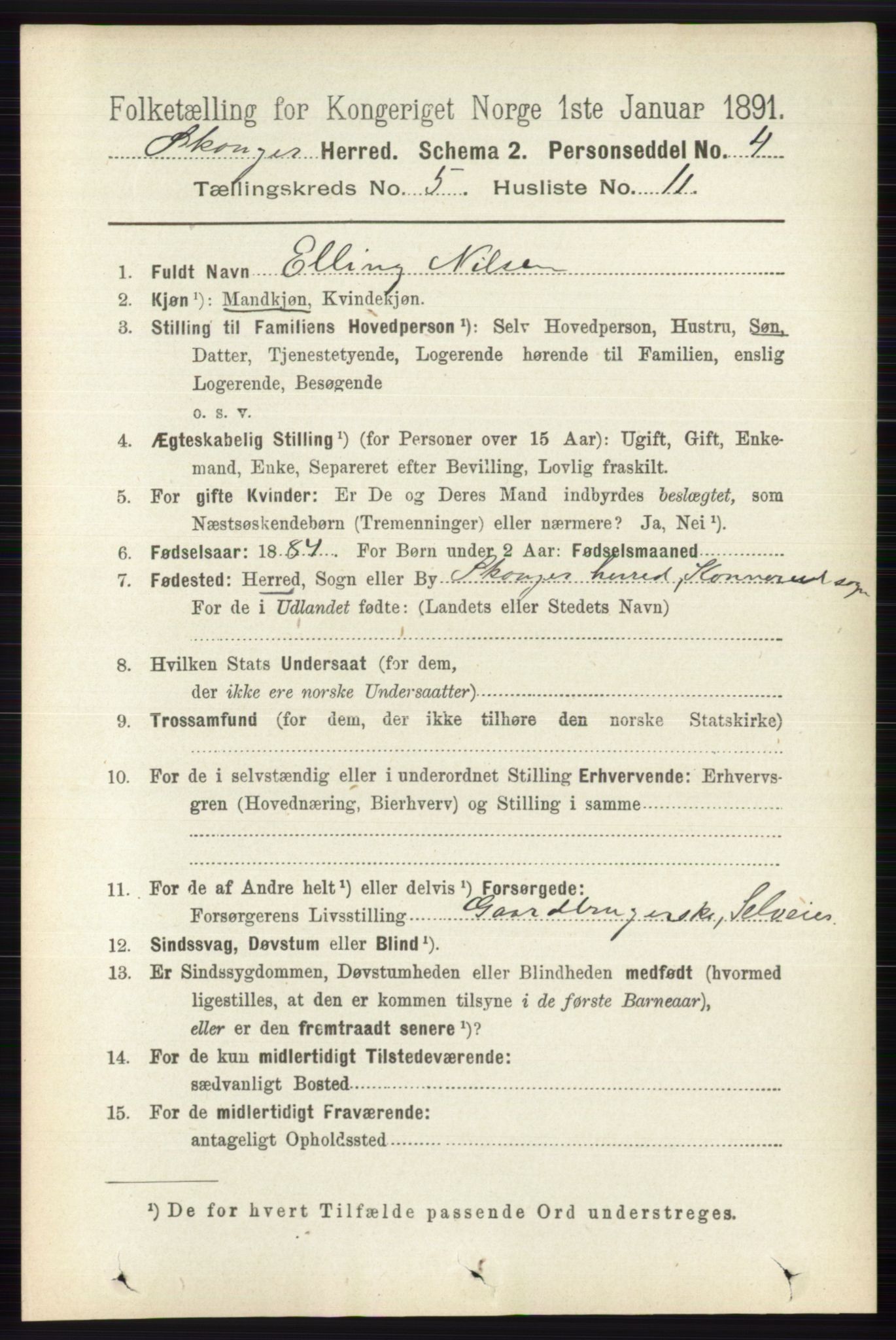 RA, 1891 census for 0712 Skoger, 1891, p. 3171