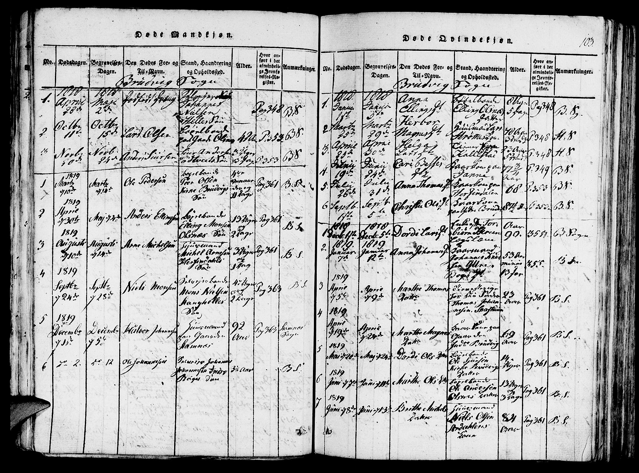 Haus sokneprestembete, SAB/A-75601/H/Haa: Parish register (official) no. A 12, 1816-1821, p. 103