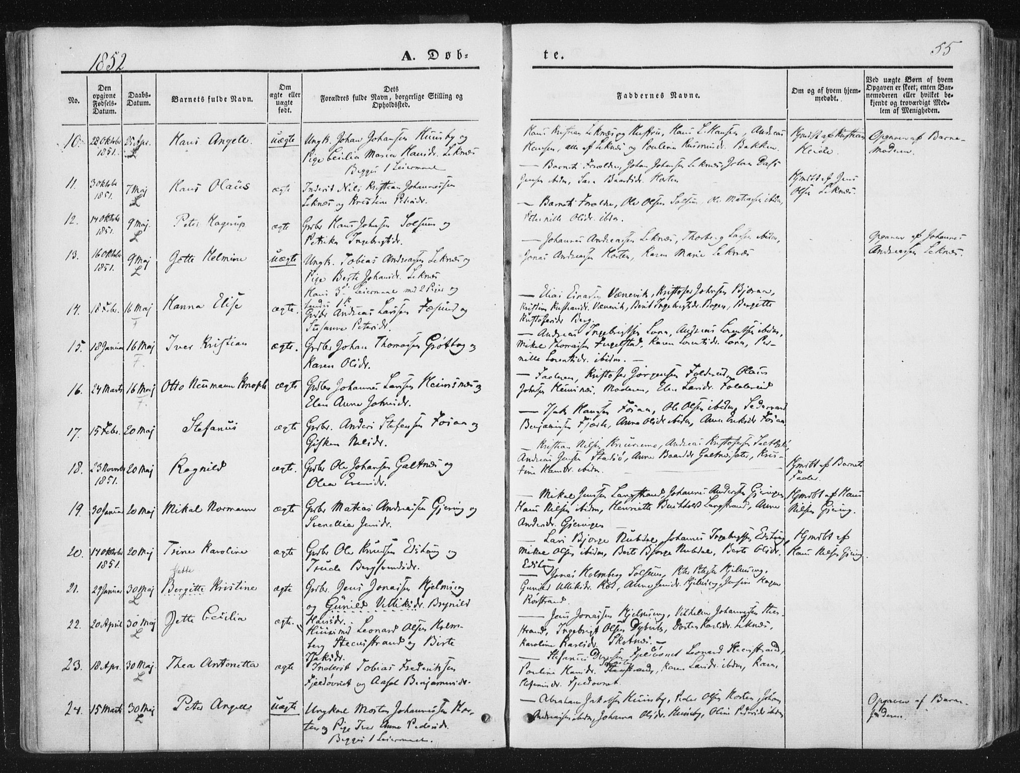 Ministerialprotokoller, klokkerbøker og fødselsregistre - Nord-Trøndelag, SAT/A-1458/780/L0640: Parish register (official) no. 780A05, 1845-1856, p. 55