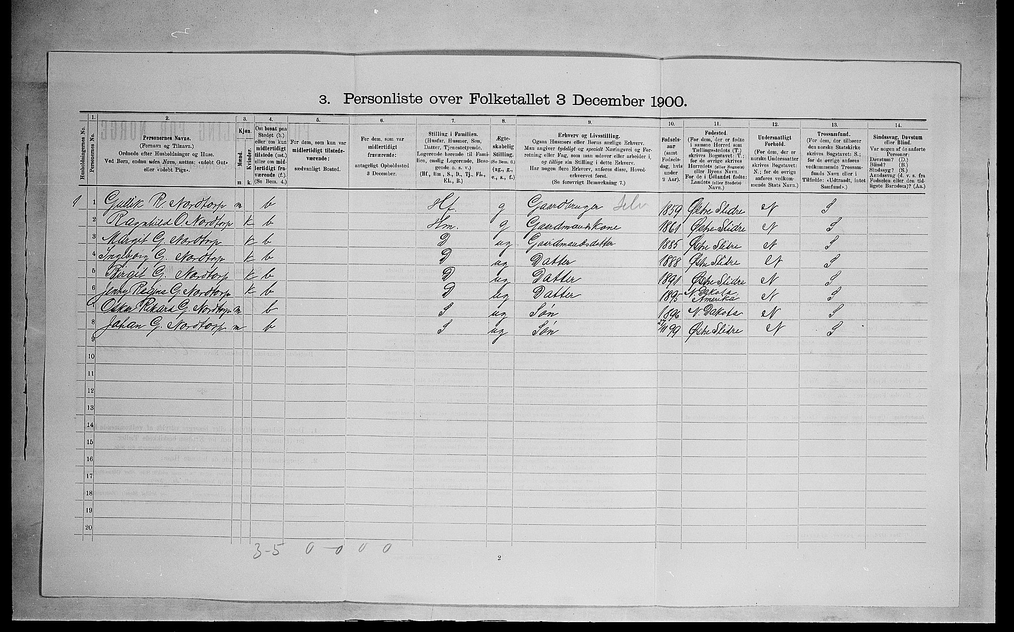 SAH, 1900 census for Ringsaker, 1900, p. 1256