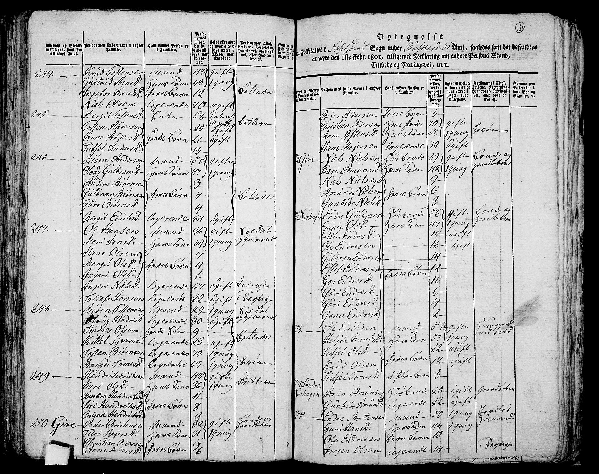 RA, 1801 census for 0616P Nes, 1801, p. 120b-121a