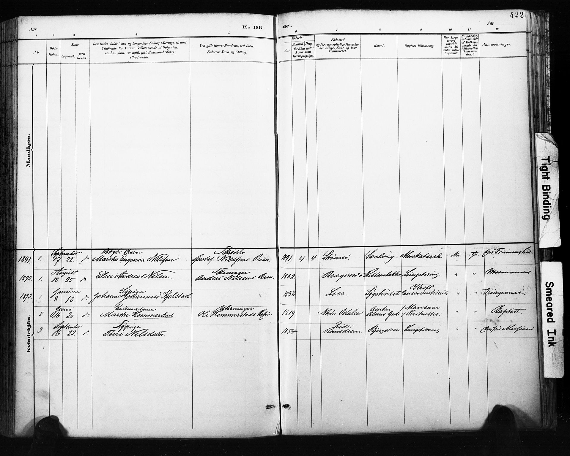 Bragernes kirkebøker, AV/SAKO-A-6/F/Fb/L0007: Parish register (official) no. II 7, 1885-1893, p. 422