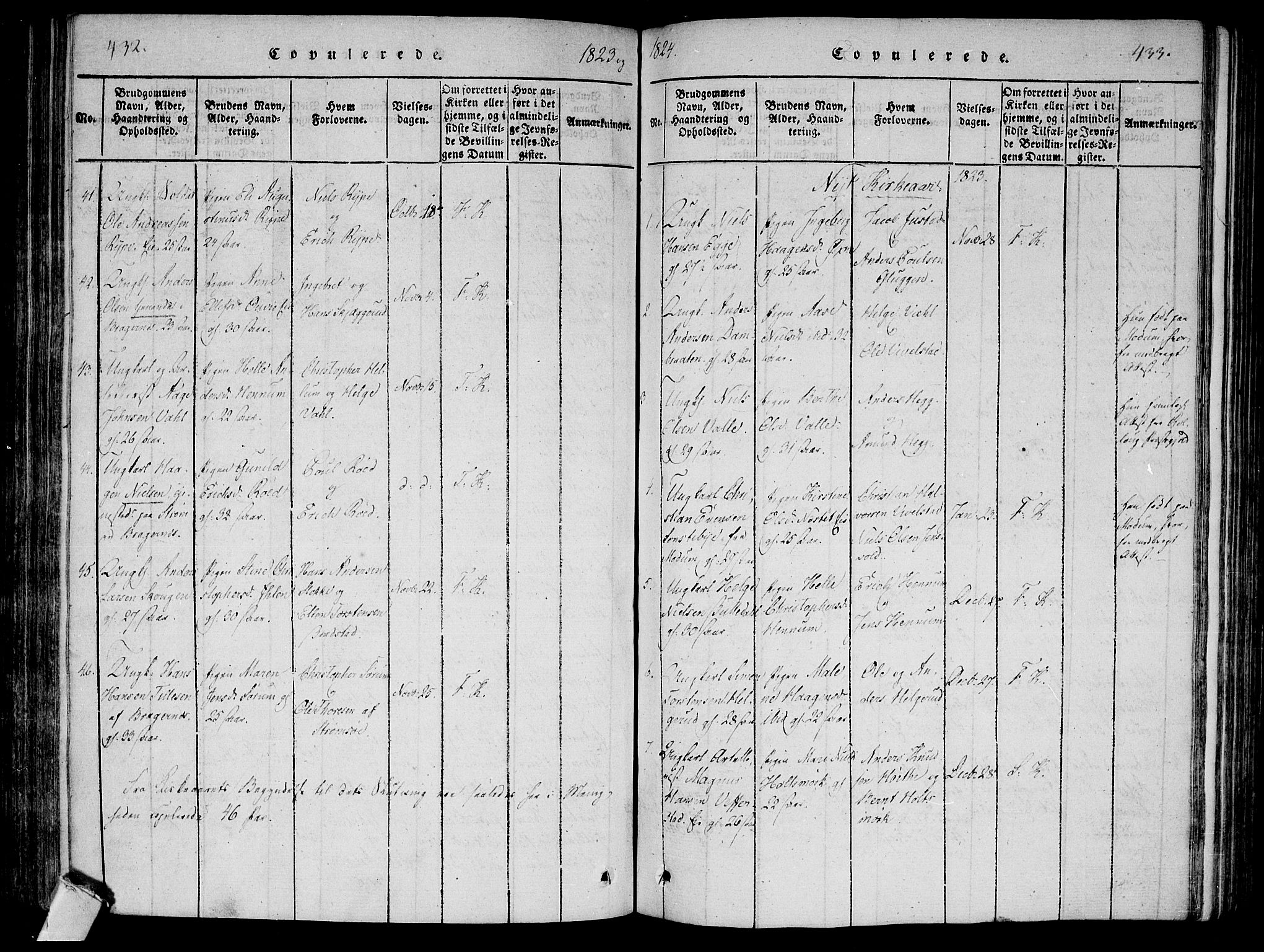 Lier kirkebøker, AV/SAKO-A-230/F/Fa/L0008: Parish register (official) no. I 8, 1813-1825, p. 432-433