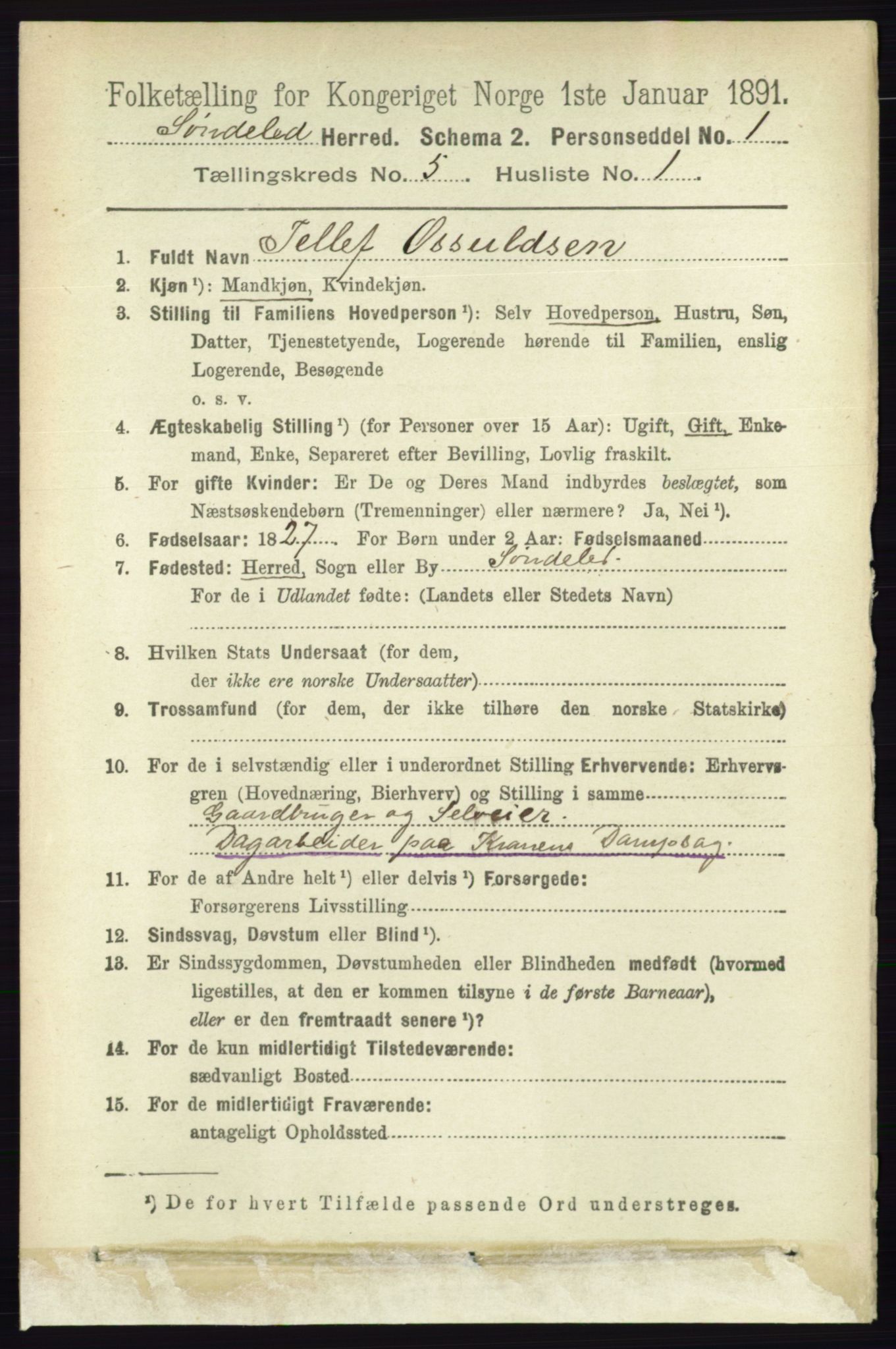 RA, 1891 census for 0913 Søndeled, 1891, p. 1217