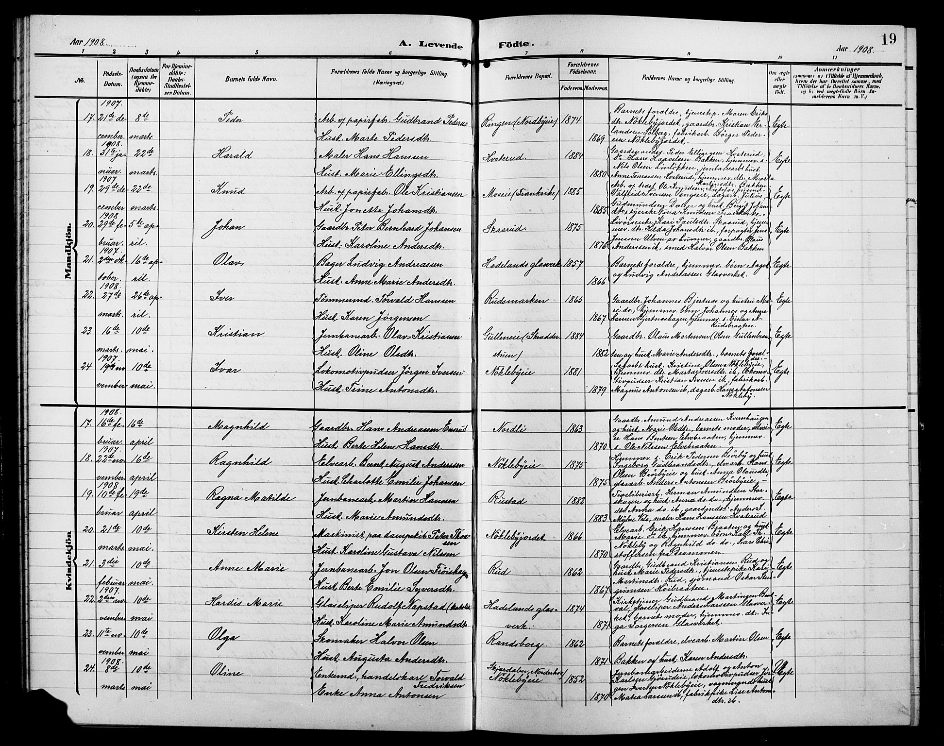 Jevnaker prestekontor, AV/SAH-PREST-116/H/Ha/Hab/L0004: Parish register (copy) no. 4, 1907-1918, p. 19