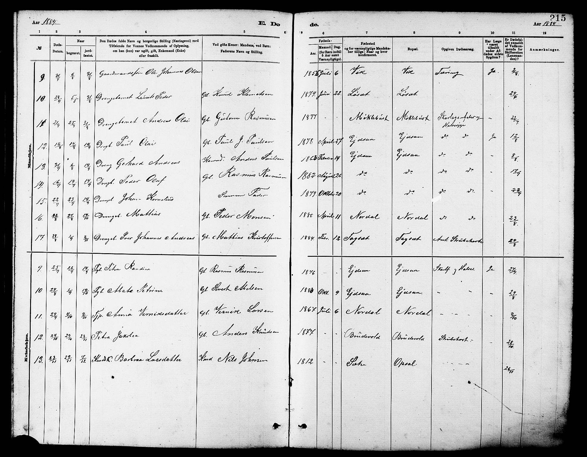 Ministerialprotokoller, klokkerbøker og fødselsregistre - Møre og Romsdal, AV/SAT-A-1454/502/L0027: Parish register (copy) no. 502C01, 1878-1908, p. 215