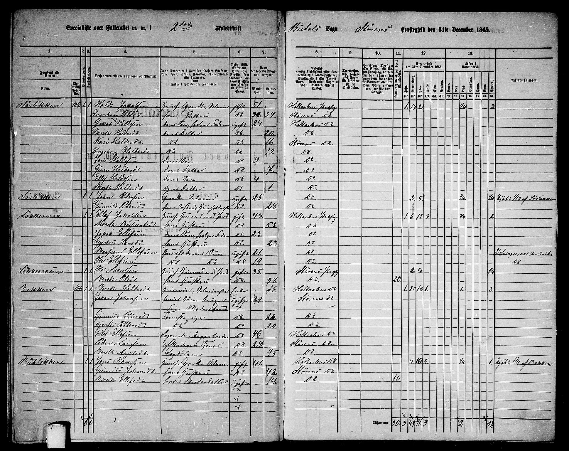 RA, 1865 census for Støren, 1865, p. 309