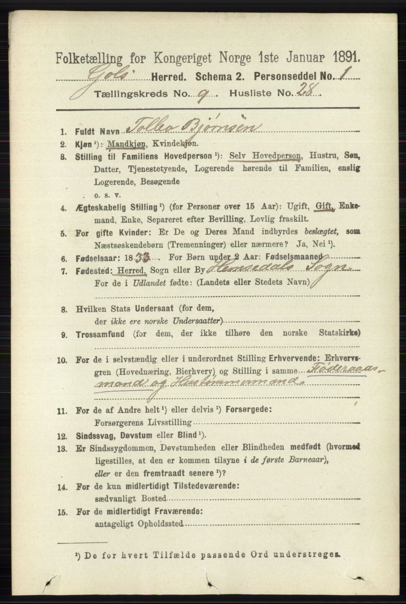 RA, 1891 census for 0617 Gol og Hemsedal, 1891, p. 3559
