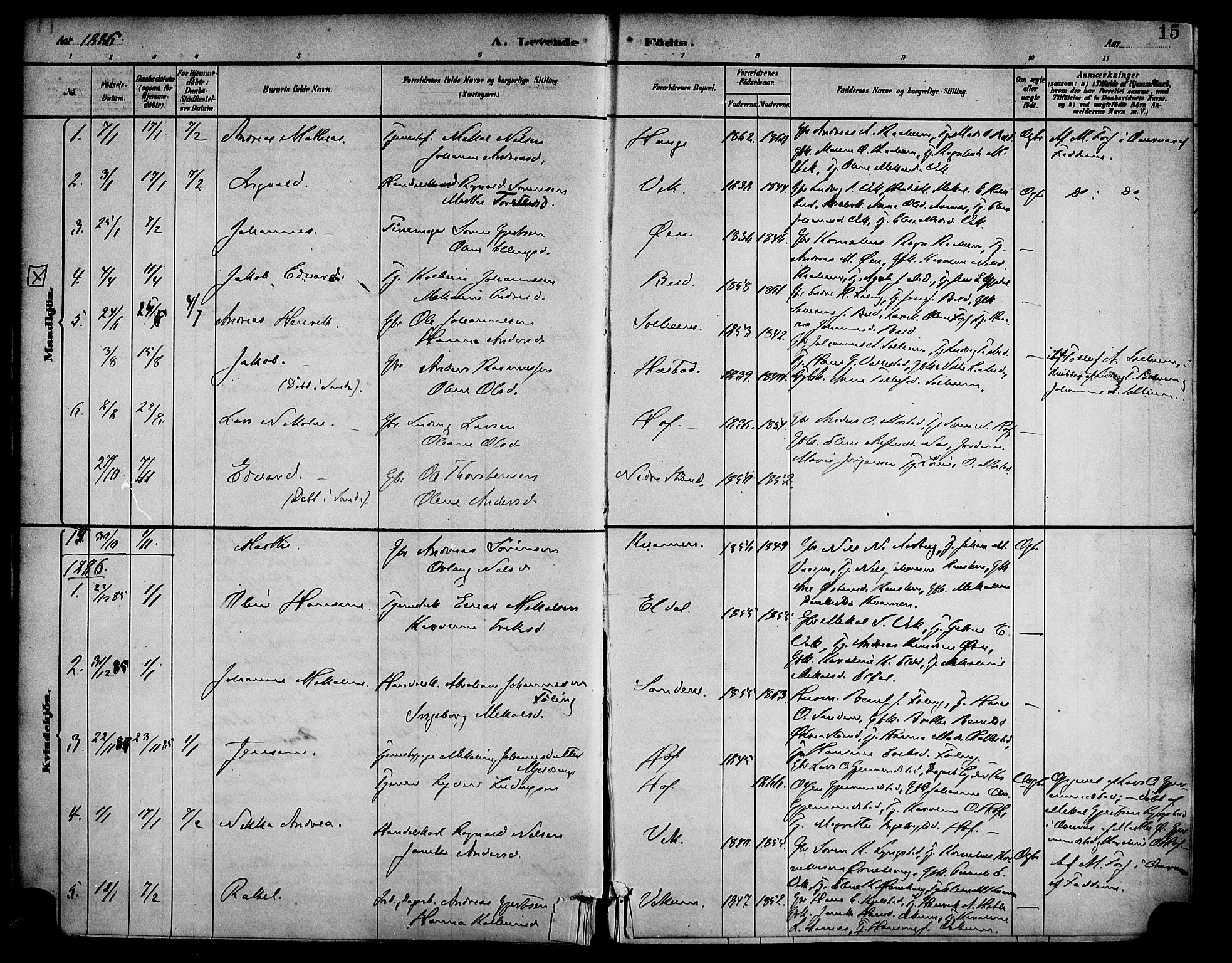 Gaular sokneprestembete, AV/SAB-A-80001/H/Haa: Parish register (official) no. D 1, 1882-1899, p. 15