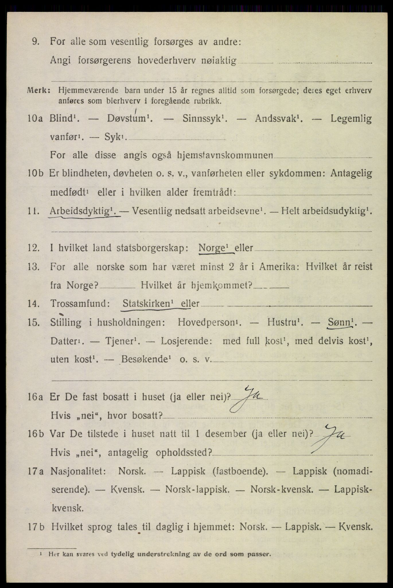 SAT, 1920 census for Borge, 1920, p. 3064