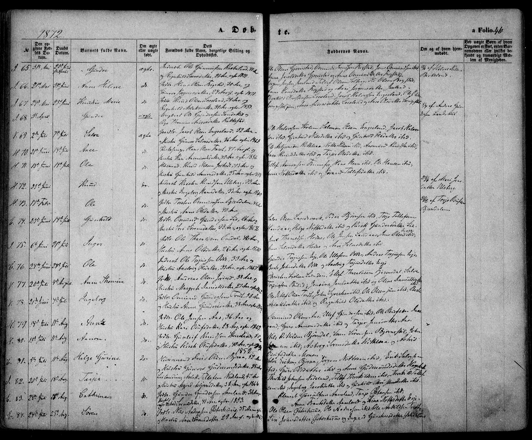 Evje sokneprestkontor, AV/SAK-1111-0008/F/Fa/Faa/L0006: Parish register (official) no. A 6, 1866-1884, p. 46