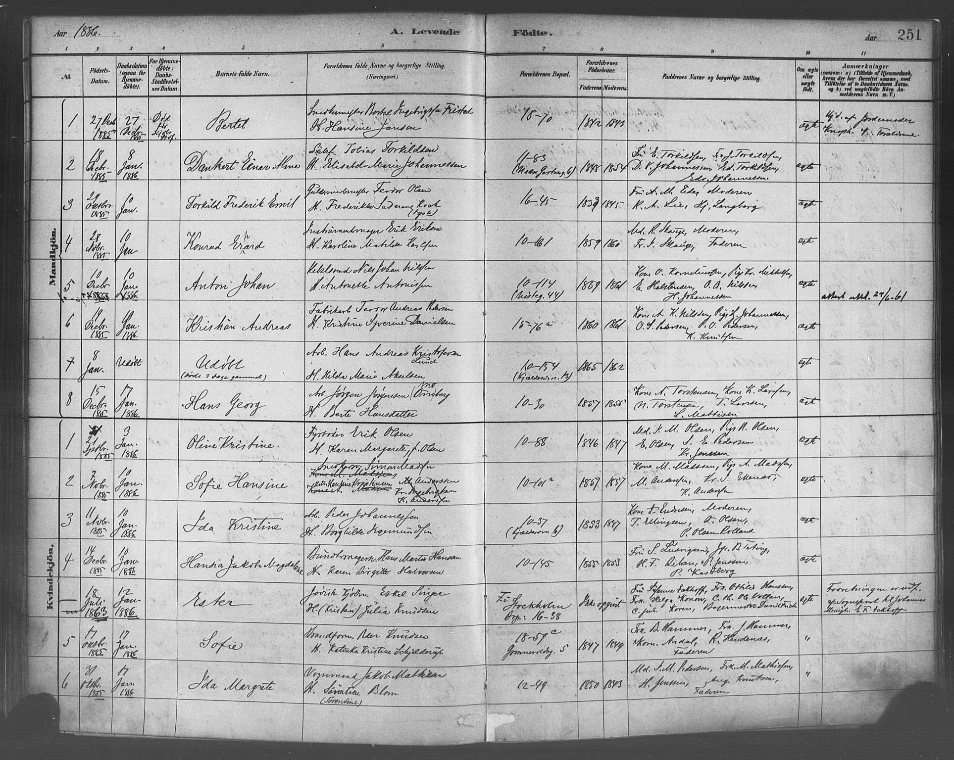 Domkirken sokneprestembete, SAB/A-74801/H/Haa/L0023: Parish register (official) no. B 6, 1879-1887, p. 251