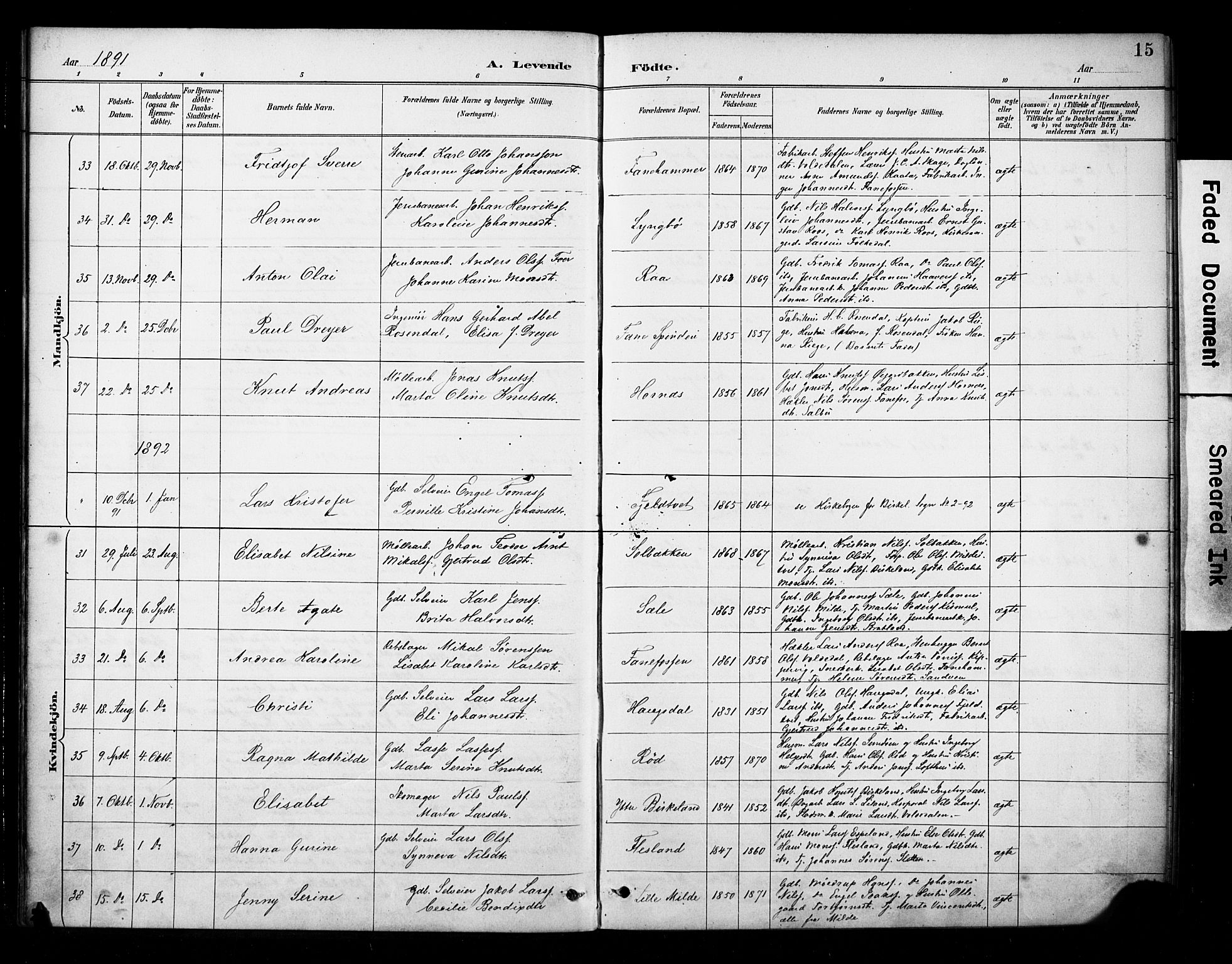 Fana Sokneprestembete, SAB/A-75101/H/Haa/Haab/L0002: Parish register (official) no. B 2, 1890-1897, p. 15