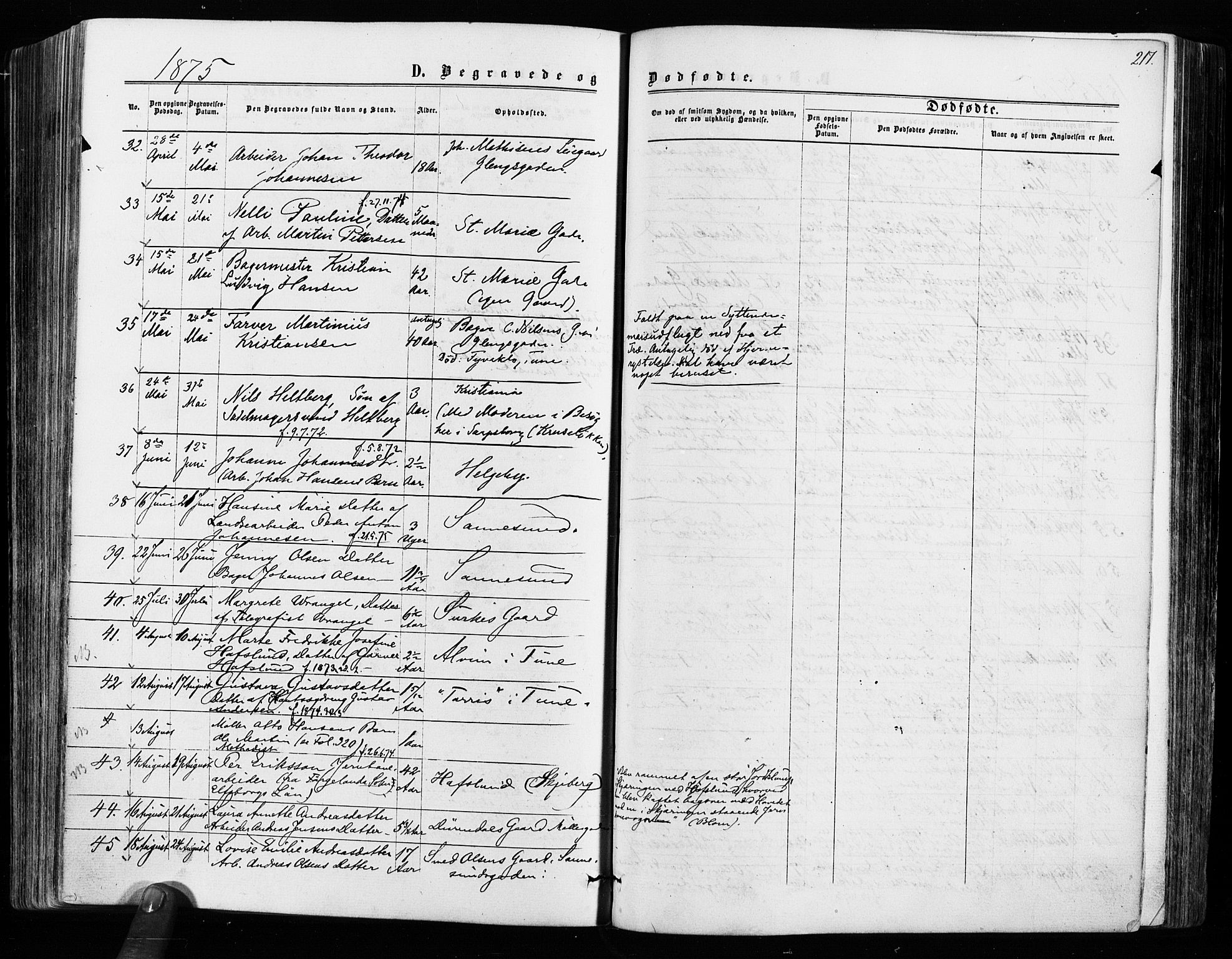 Sarpsborg prestekontor Kirkebøker, AV/SAO-A-2006/F/Fa/L0002: Parish register (official) no. 2, 1869-1877, p. 217