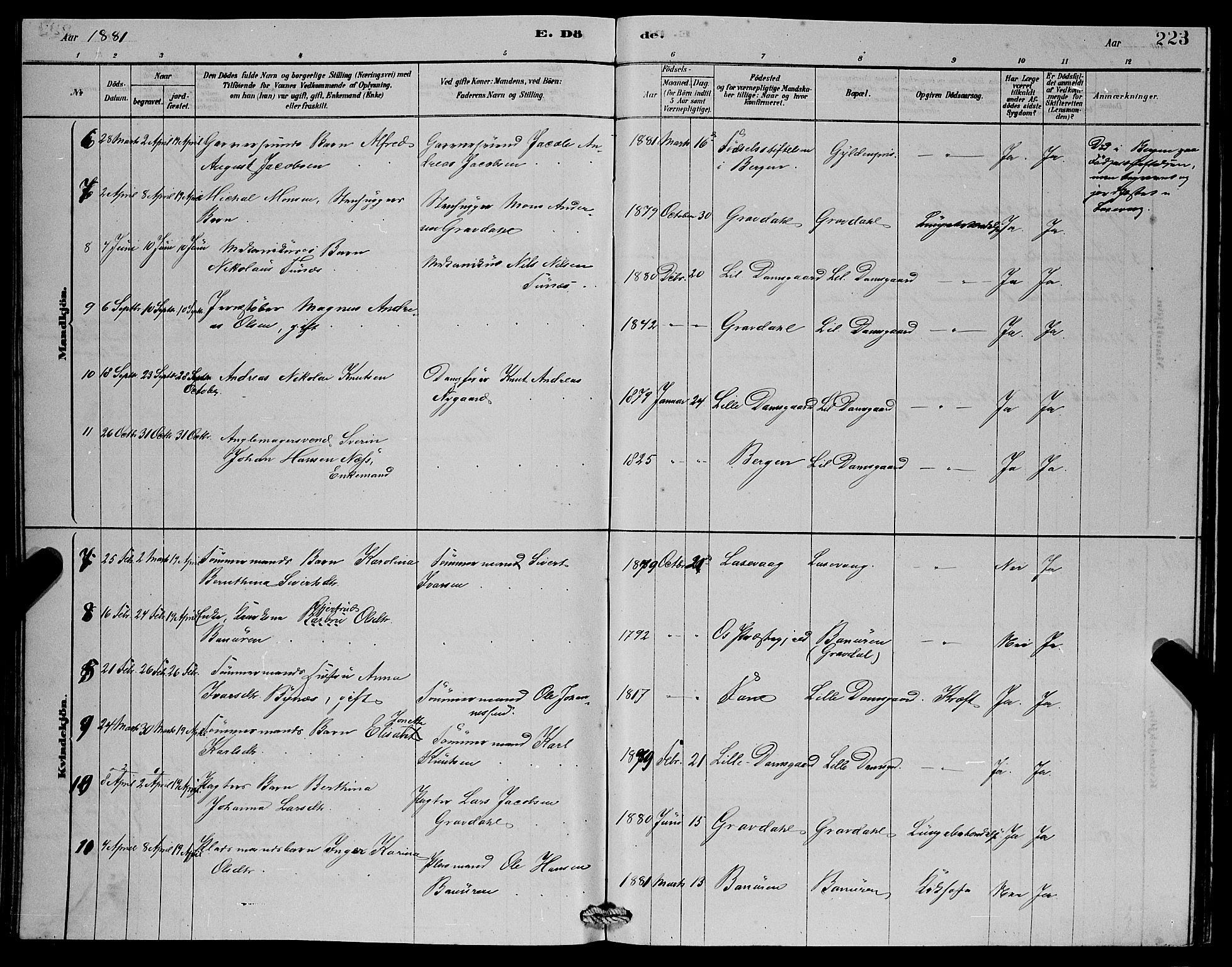 Laksevåg Sokneprestembete, SAB/A-76501/H/Ha/Hab/Haba/L0002: Parish register (copy) no. A 2, 1877-1887, p. 223