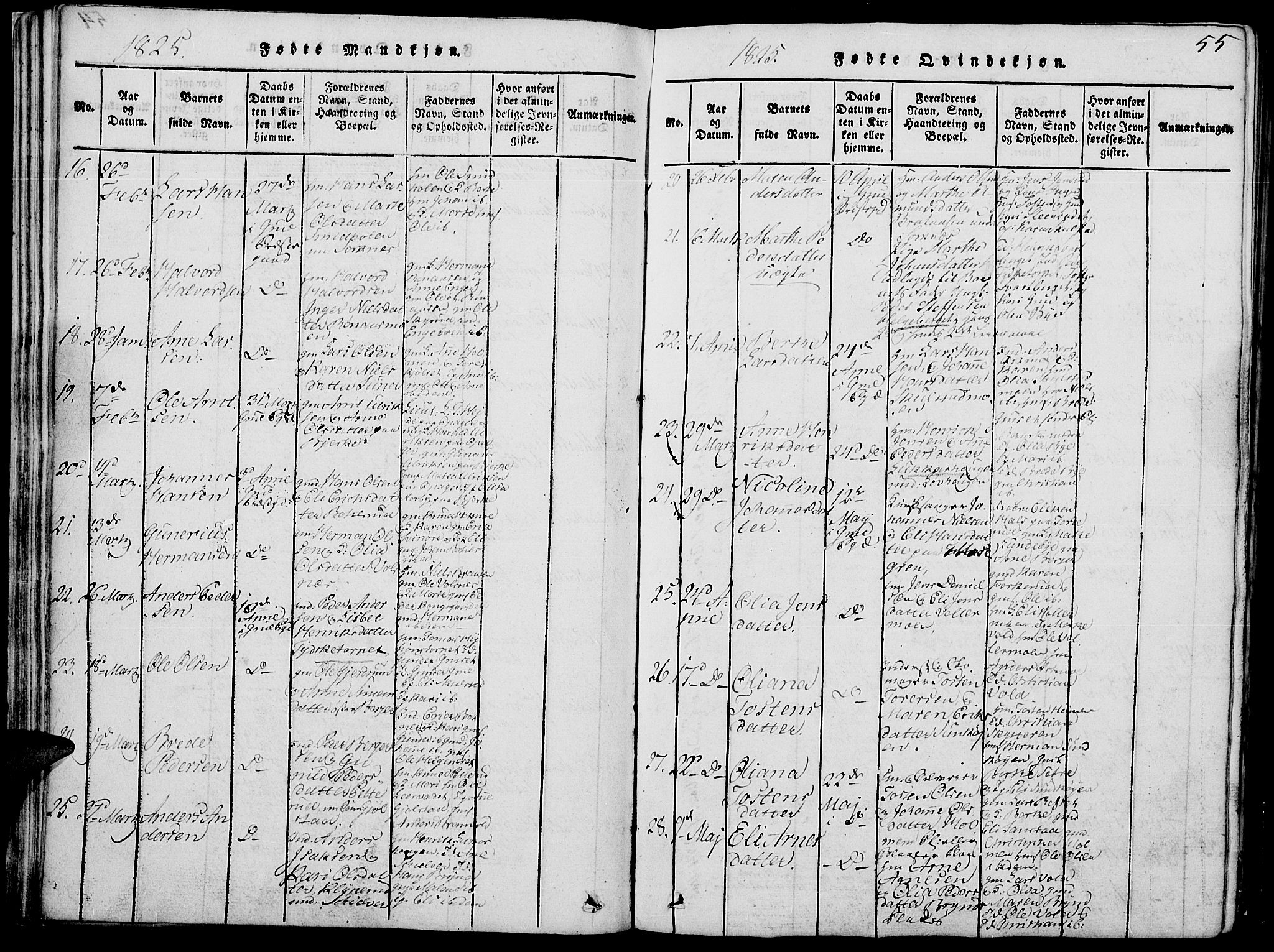 Grue prestekontor, AV/SAH-PREST-036/H/Ha/Hab/L0002: Parish register (copy) no. 2, 1815-1841, p. 55