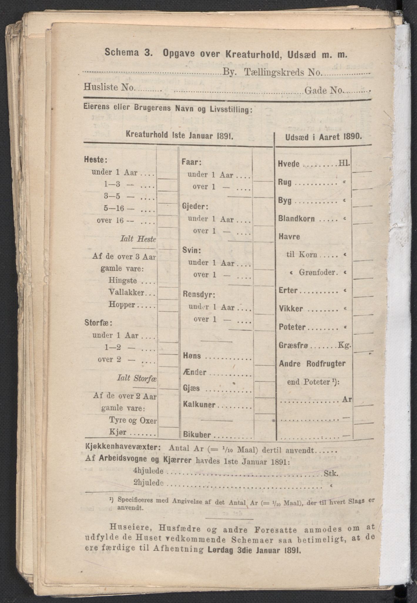 RA, 1891 Census for 1301 Bergen, 1891, p. 4284