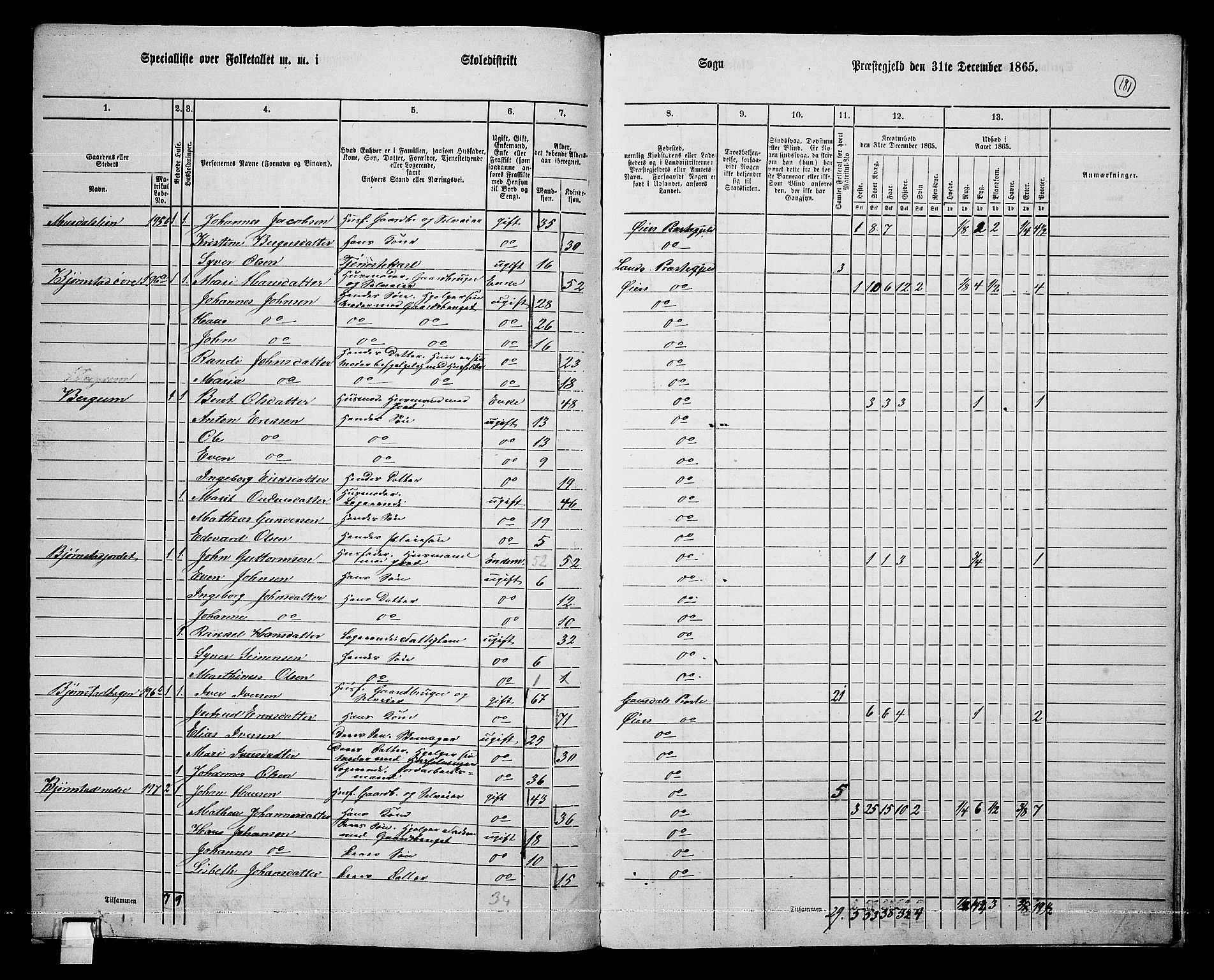 RA, 1865 census for Øyer, 1865, p. 166