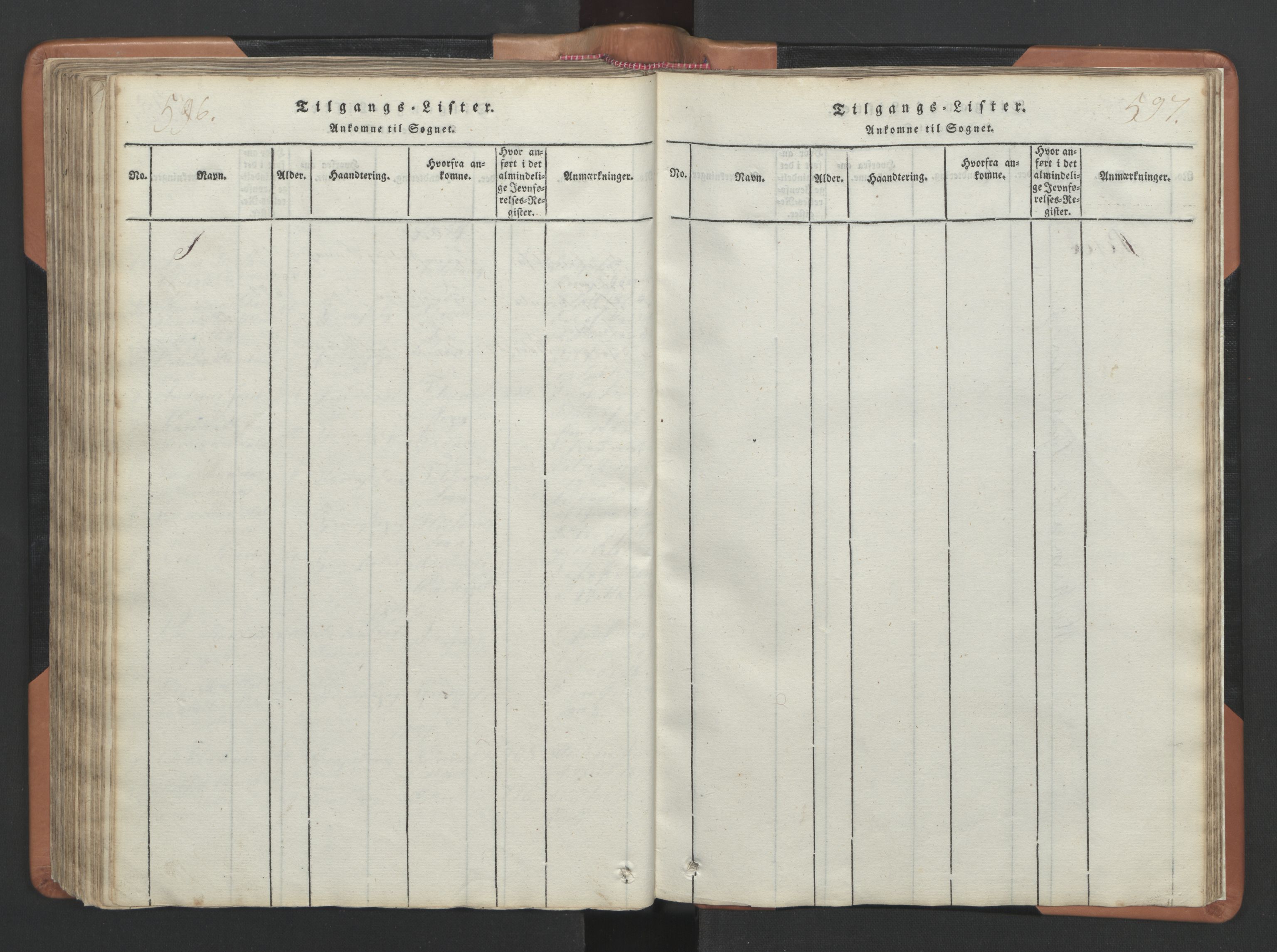 Ministerialprotokoller, klokkerbøker og fødselsregistre - Nordland, AV/SAT-A-1459/810/L0157: Parish register (copy) no. 810C01, 1819-1842, p. 596-597