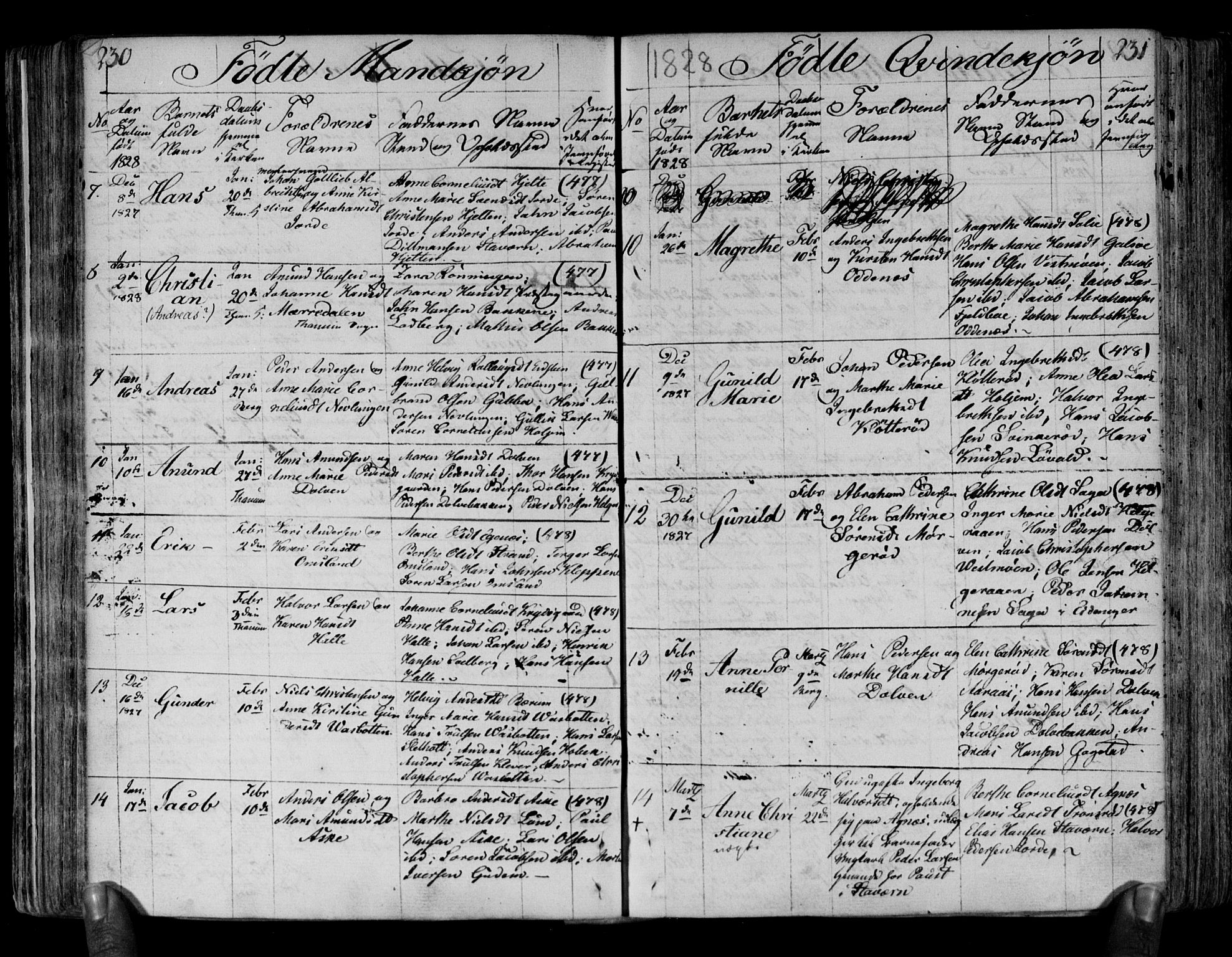 Brunlanes kirkebøker, AV/SAKO-A-342/F/Fa/L0002: Parish register (official) no. I 2, 1802-1834, p. 230-231