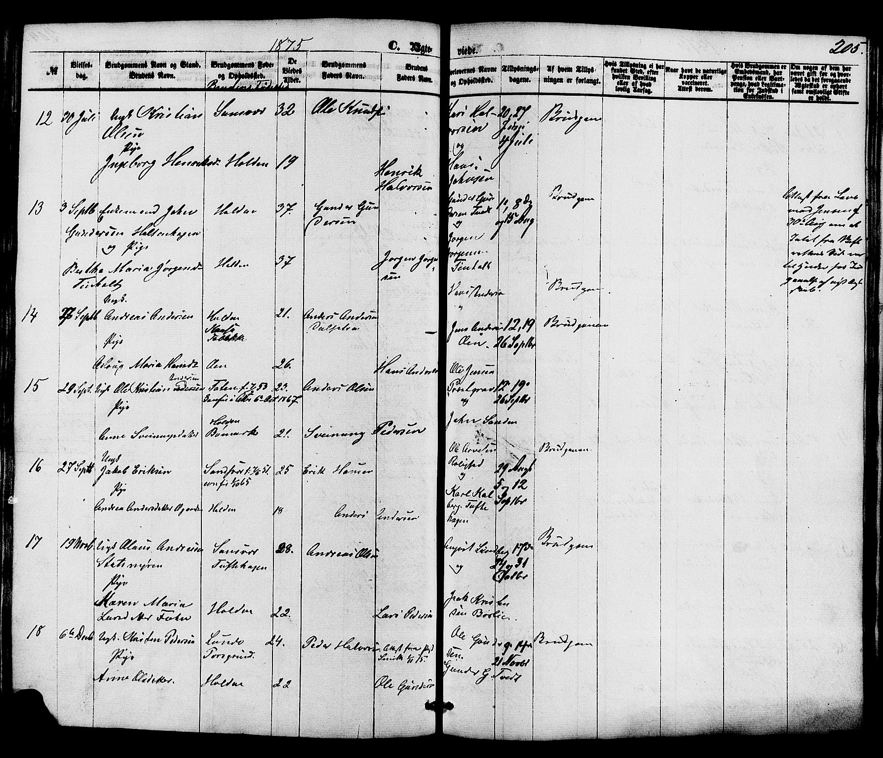 Holla kirkebøker, SAKO/A-272/F/Fa/L0007: Parish register (official) no. 7, 1869-1881, p. 205