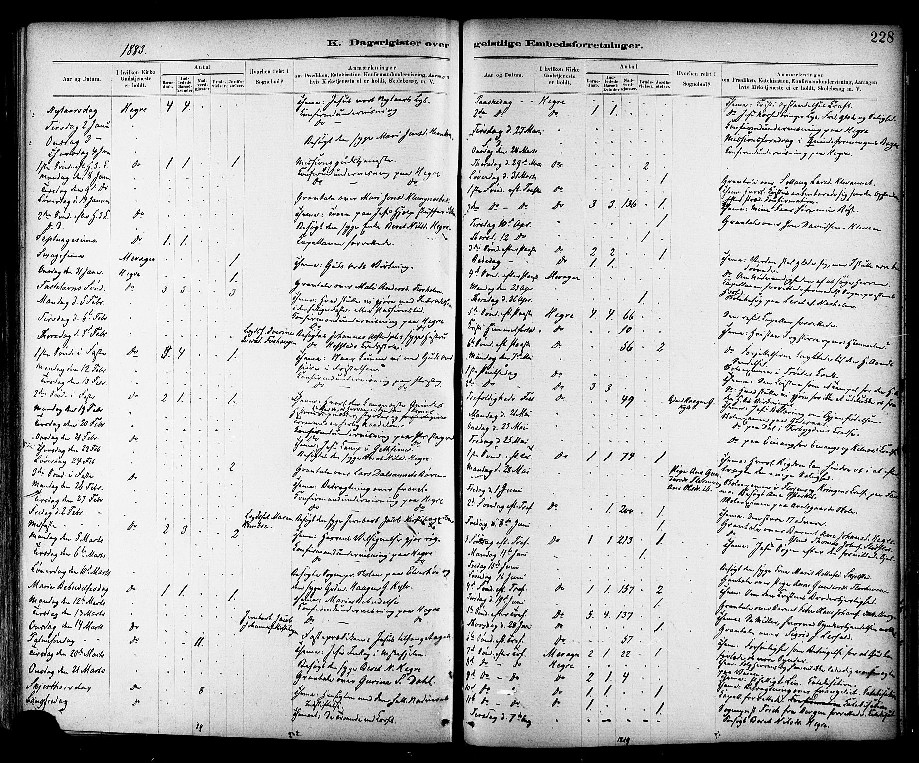 Ministerialprotokoller, klokkerbøker og fødselsregistre - Nord-Trøndelag, SAT/A-1458/703/L0030: Parish register (official) no. 703A03, 1880-1892, p. 228