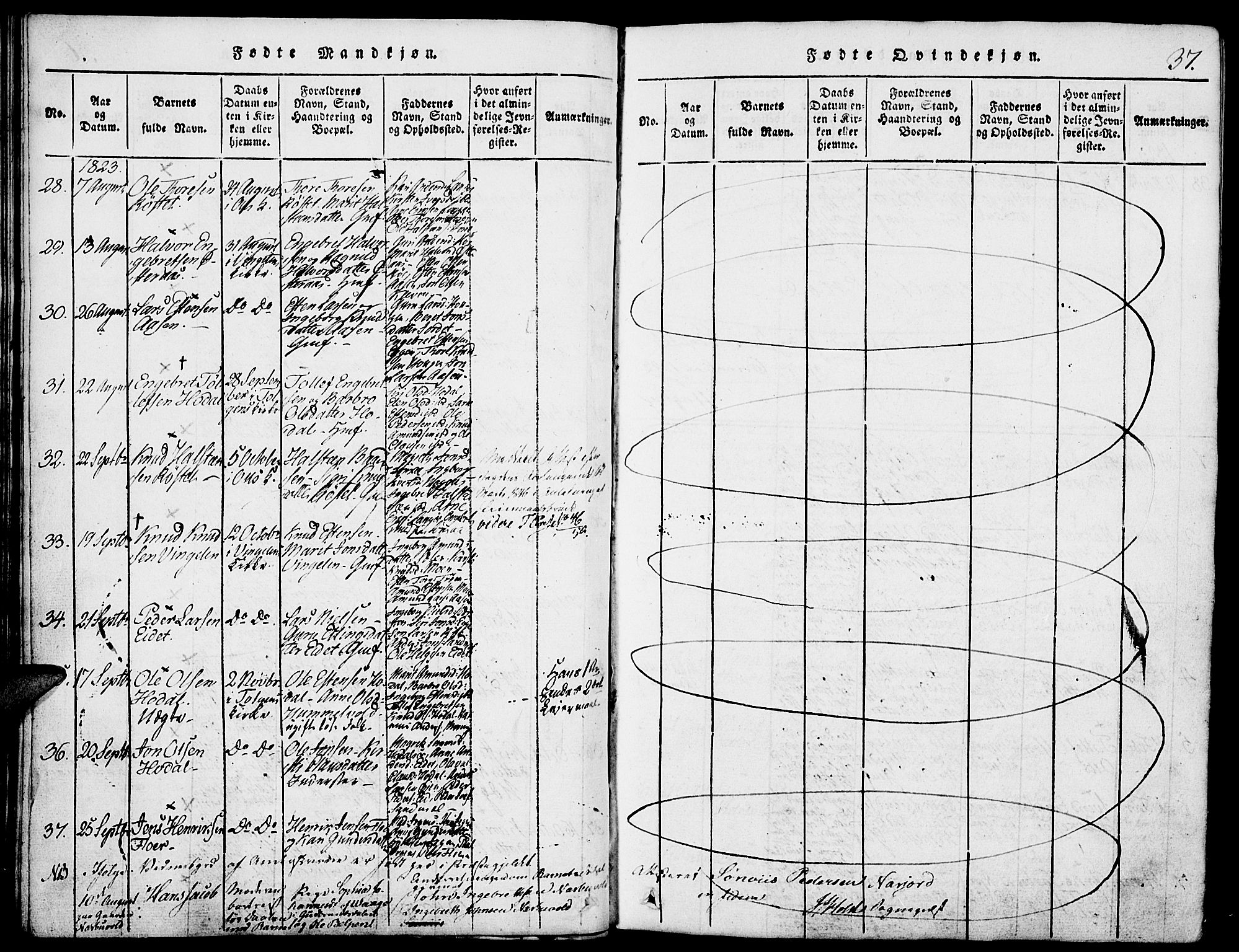 Tolga prestekontor, SAH/PREST-062/K/L0004: Parish register (official) no. 4, 1815-1836, p. 37