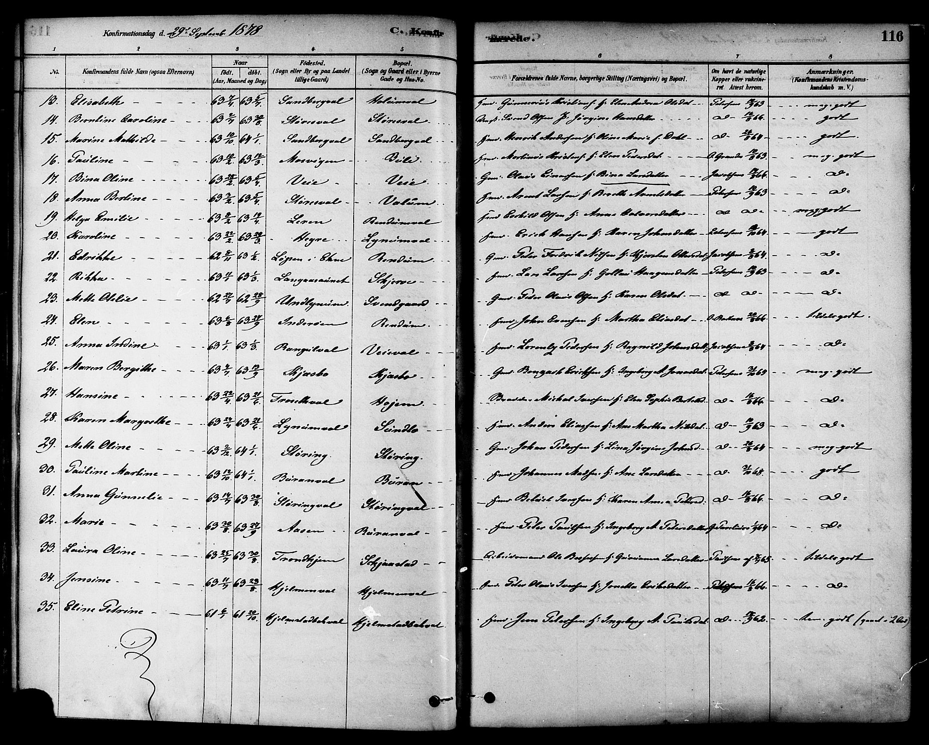 Ministerialprotokoller, klokkerbøker og fødselsregistre - Nord-Trøndelag, SAT/A-1458/717/L0159: Parish register (official) no. 717A09, 1878-1898, p. 116
