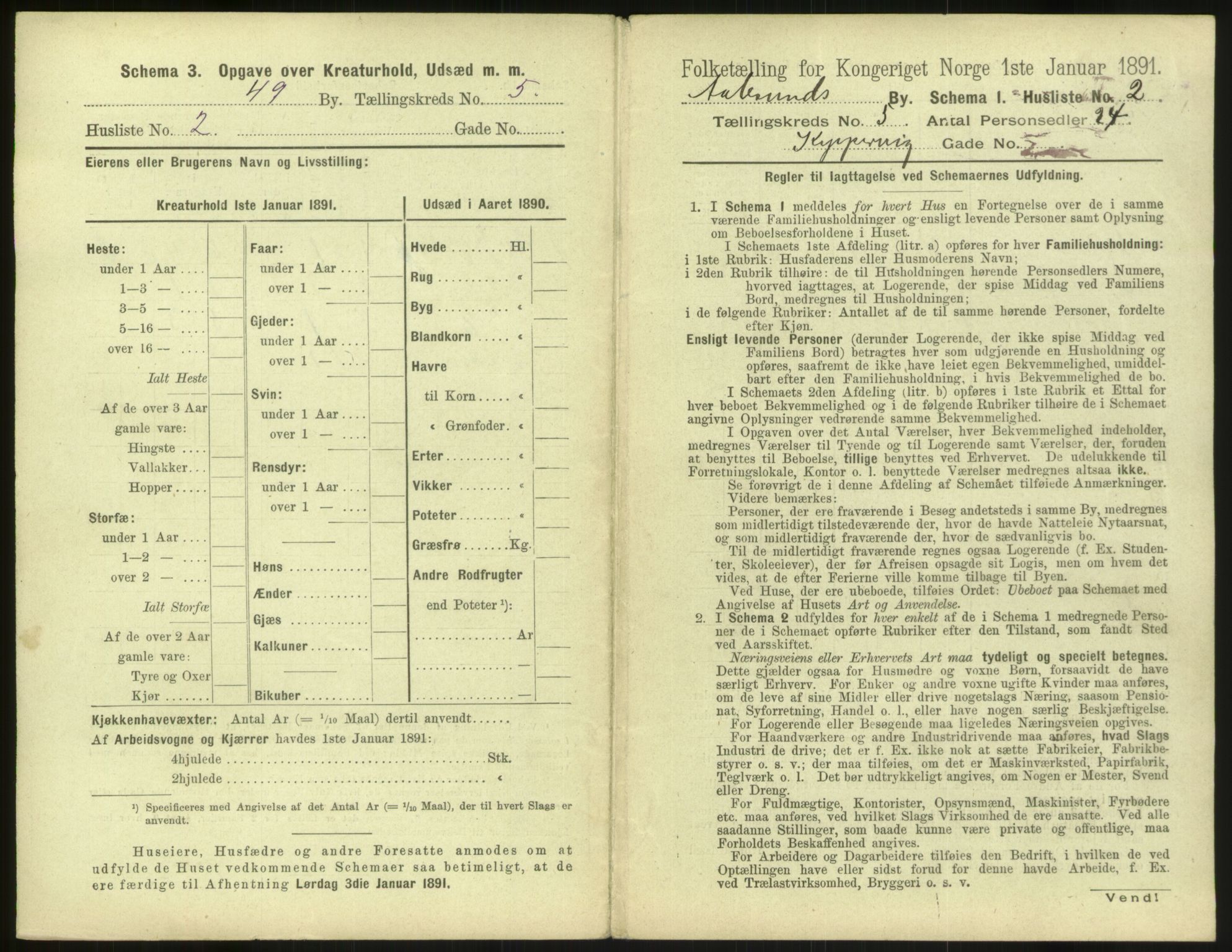 RA, 1891 census for 1501 Ålesund, 1891, p. 382