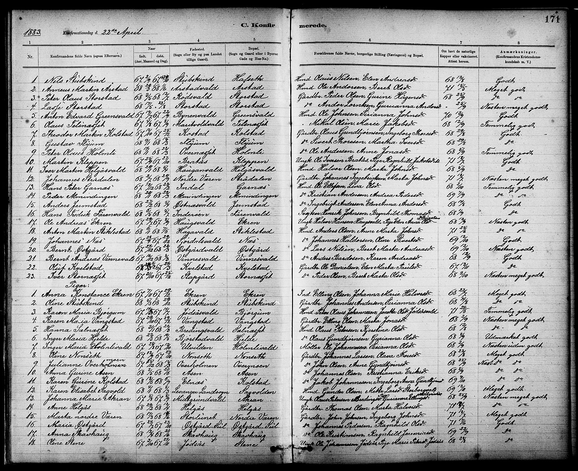 Ministerialprotokoller, klokkerbøker og fødselsregistre - Nord-Trøndelag, SAT/A-1458/724/L0267: Parish register (copy) no. 724C03, 1879-1898, p. 171