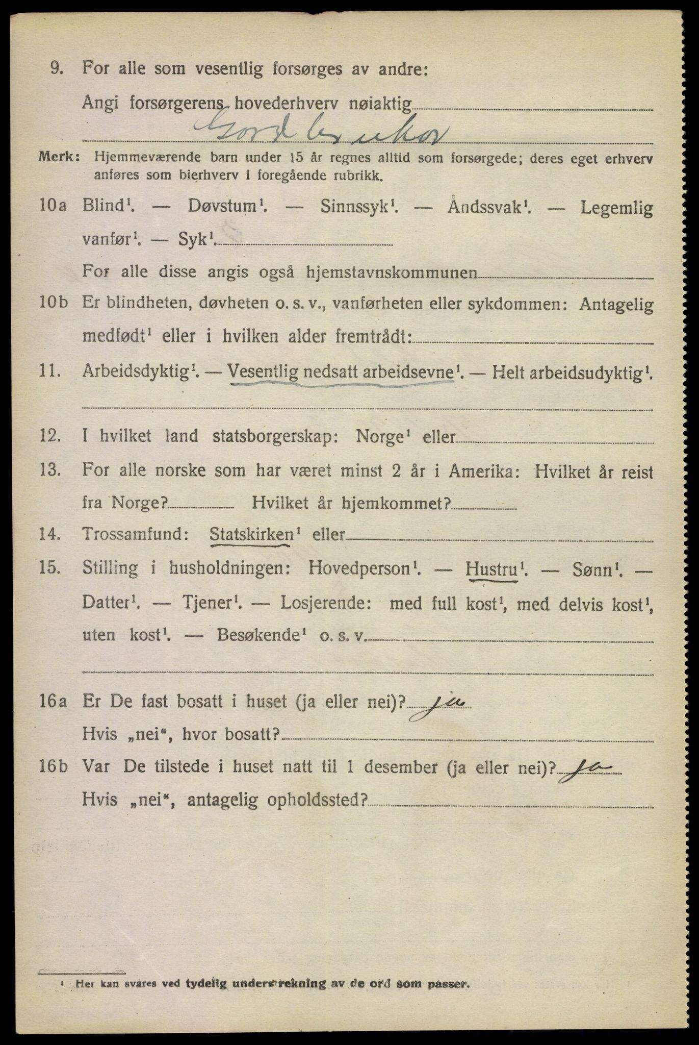 SAKO, 1920 census for Rauland, 1920, p. 813