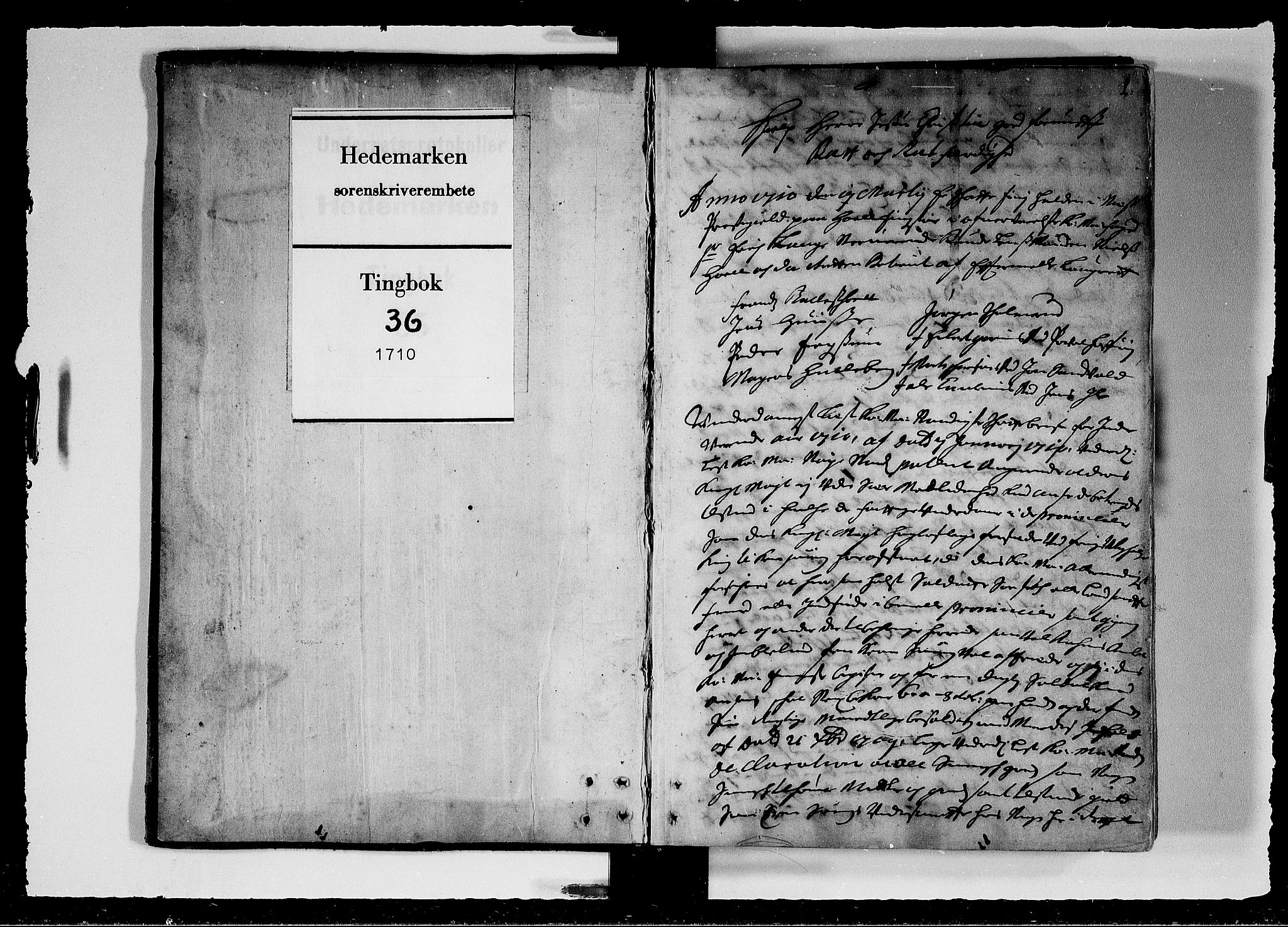 Hedemarken sorenskriveri, SAH/TING-034/G/Gb/L0036: Tingbok, 1710, p. 0b-1a