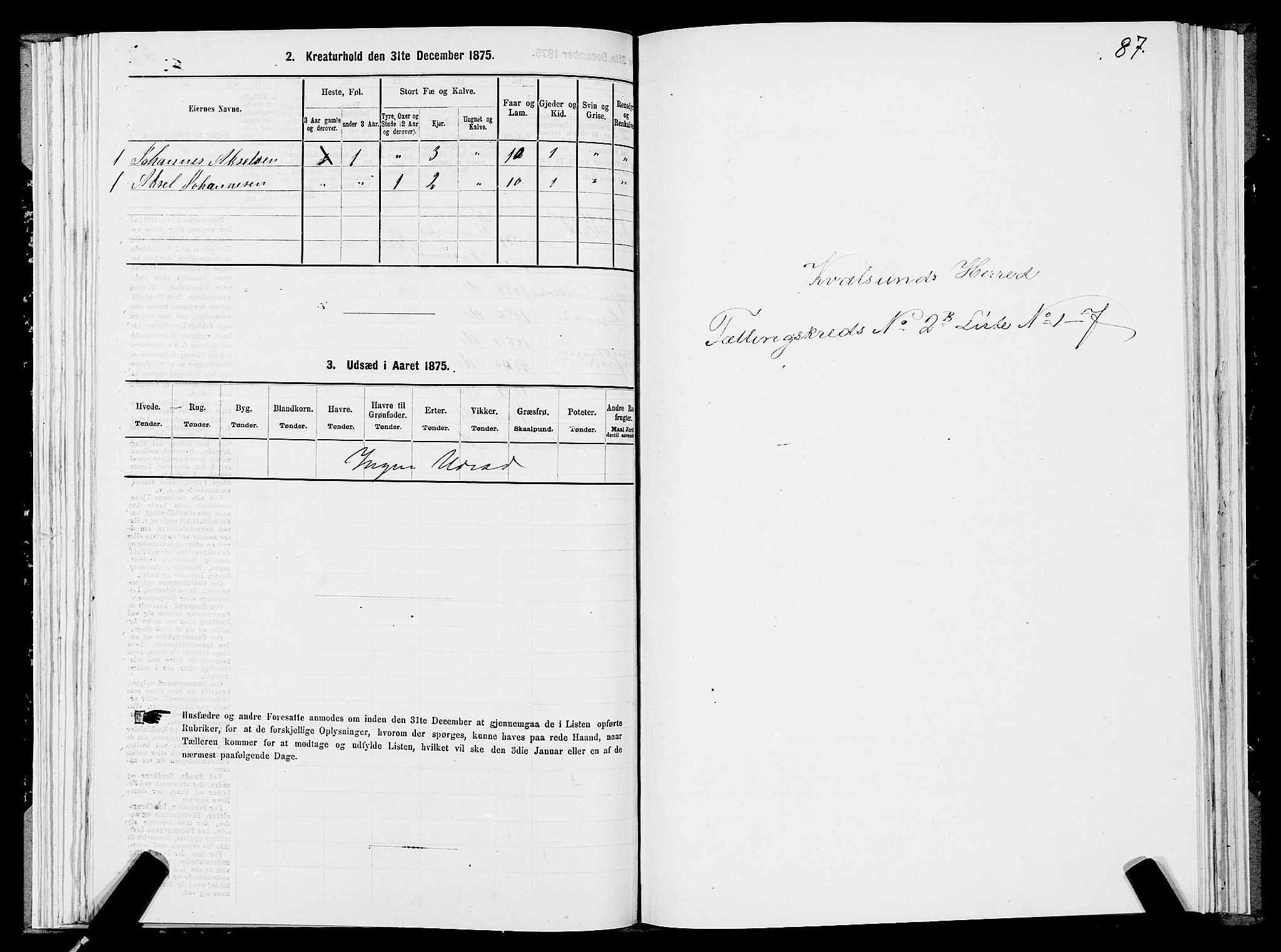 SATØ, 1875 census for 2016L Hammerfest/Hammerfest og Kvalsund, 1875, p. 2087