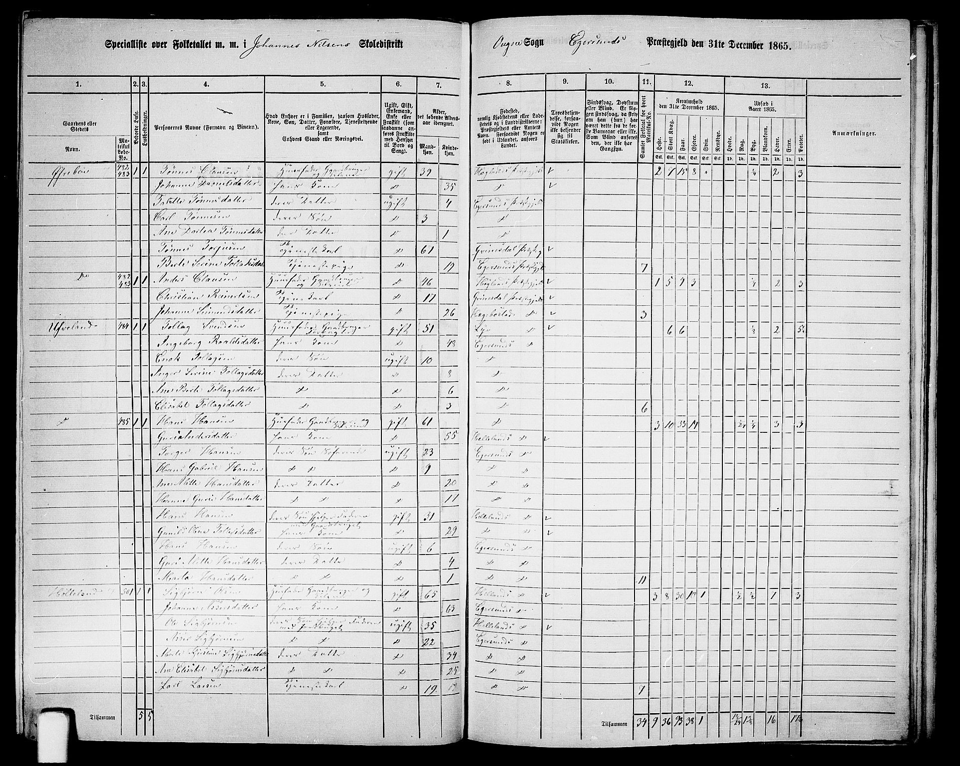 RA, 1865 census for Eigersund/Eigersund og Ogna, 1865, p. 132