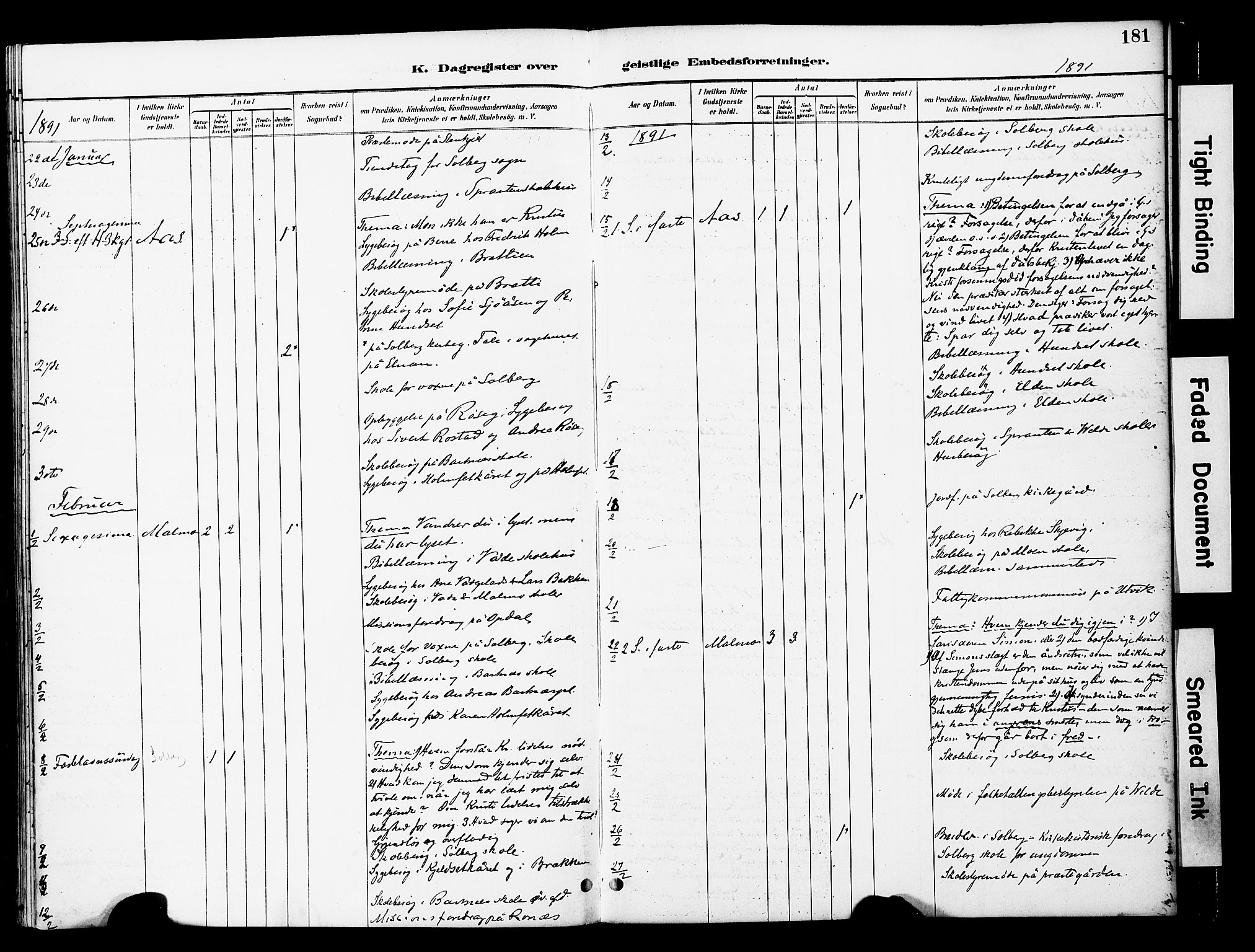 Ministerialprotokoller, klokkerbøker og fødselsregistre - Nord-Trøndelag, AV/SAT-A-1458/741/L0396: Parish register (official) no. 741A10, 1889-1901, p. 181