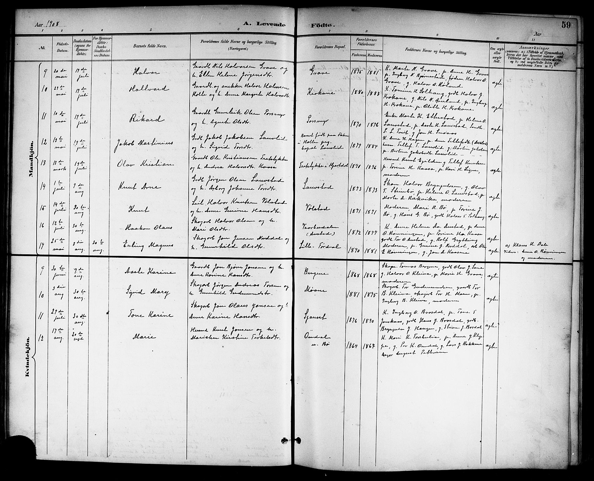 Drangedal kirkebøker, SAKO/A-258/G/Gb/L0002: Parish register (copy) no. II 2, 1895-1918, p. 59