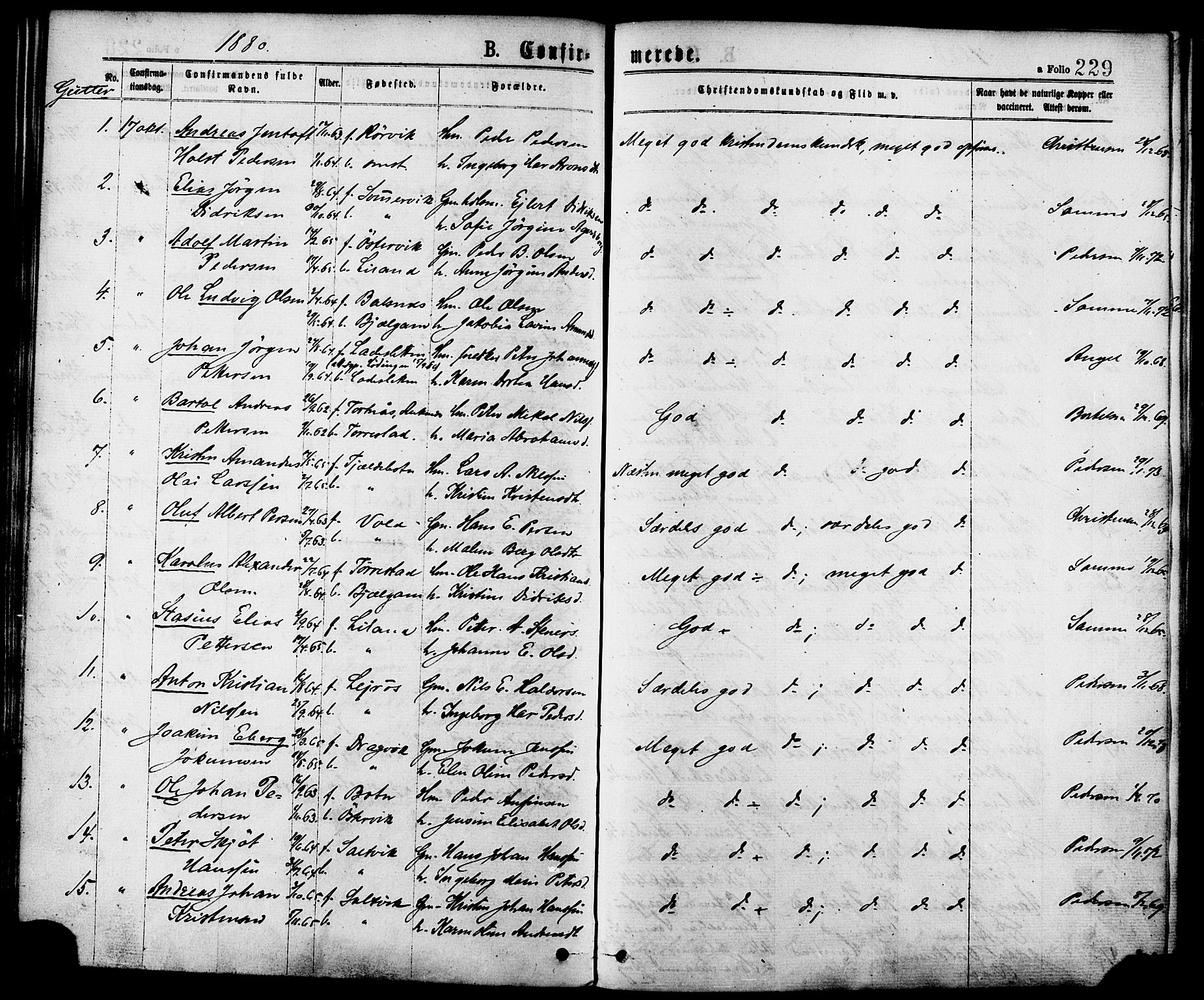 Ministerialprotokoller, klokkerbøker og fødselsregistre - Nordland, SAT/A-1459/863/L0897: Parish register (official) no. 863A09, 1872-1886, p. 229