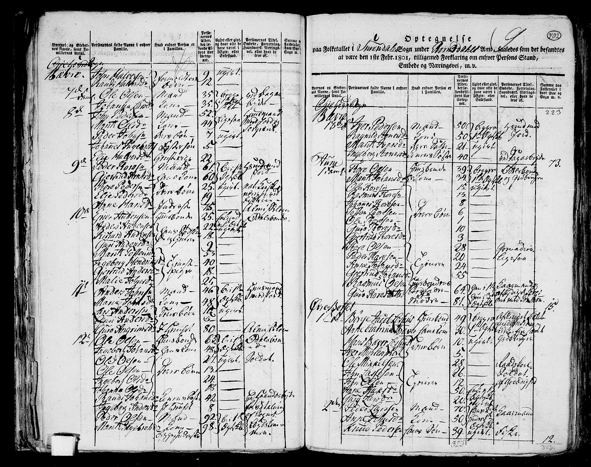RA, 1801 census for 1566P Surnadal, 1801, p. 701b-702a