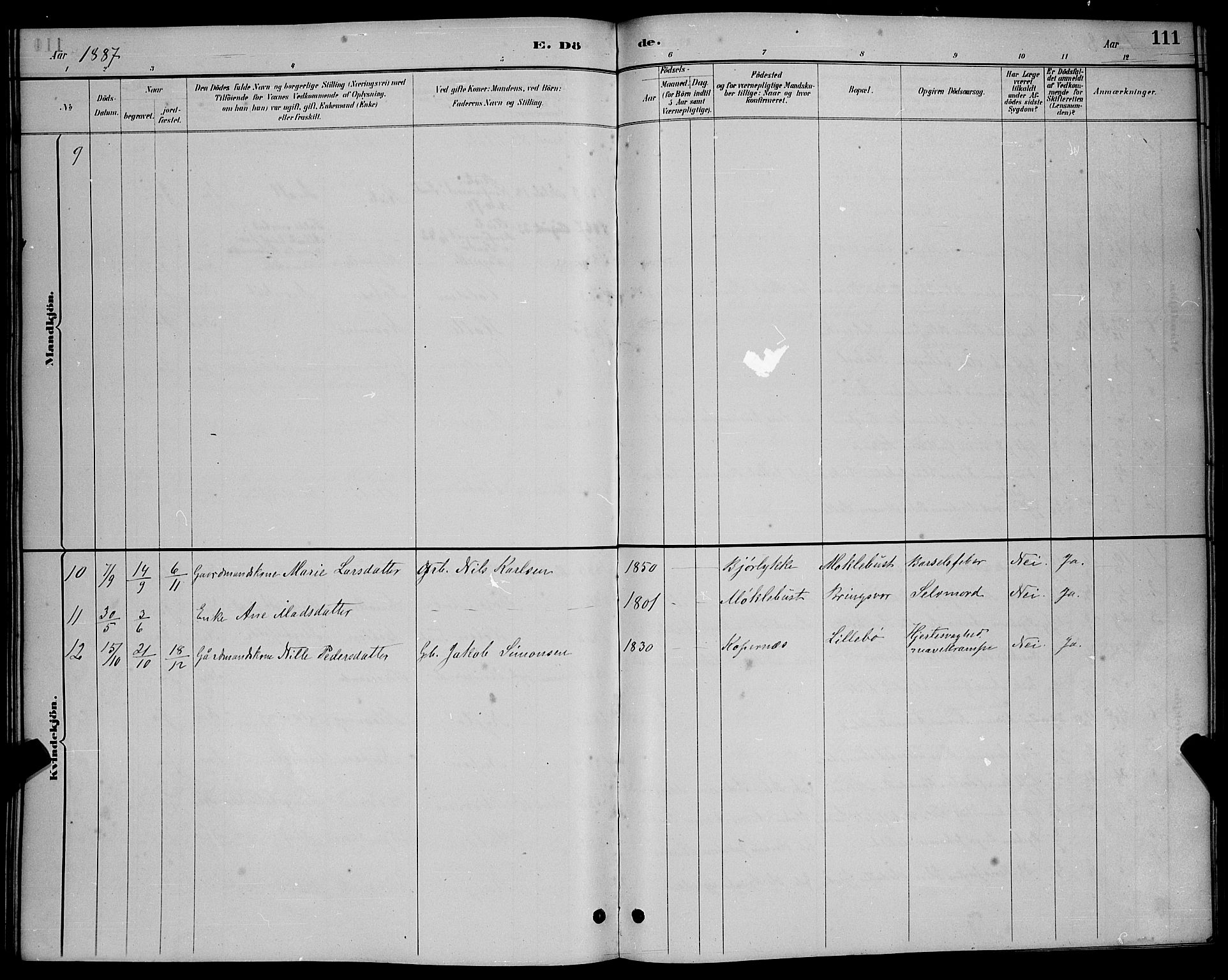 Ministerialprotokoller, klokkerbøker og fødselsregistre - Møre og Romsdal, AV/SAT-A-1454/503/L0048: Parish register (copy) no. 503C03, 1885-1893, p. 111